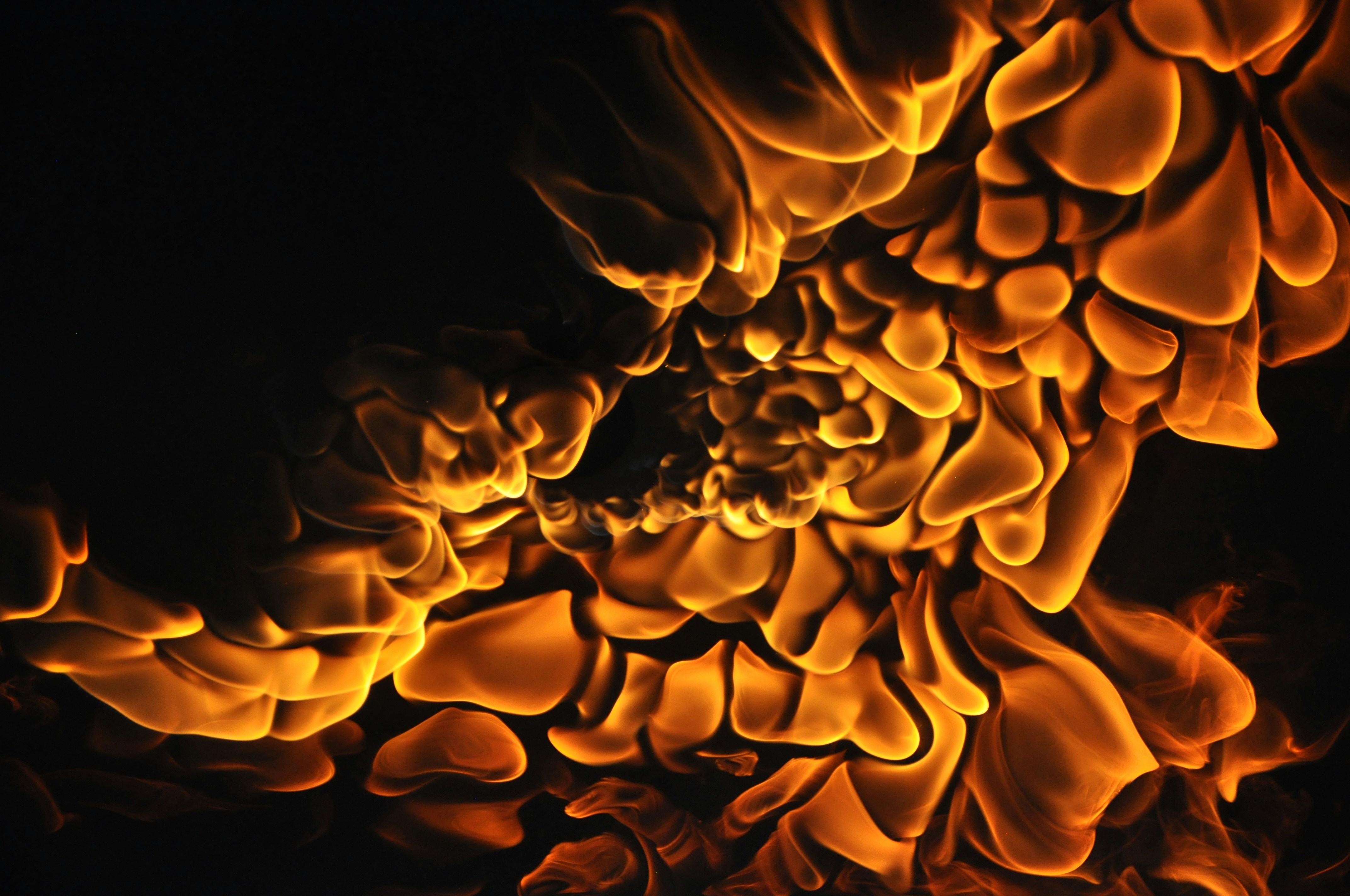 Photo by theaidenfrazier