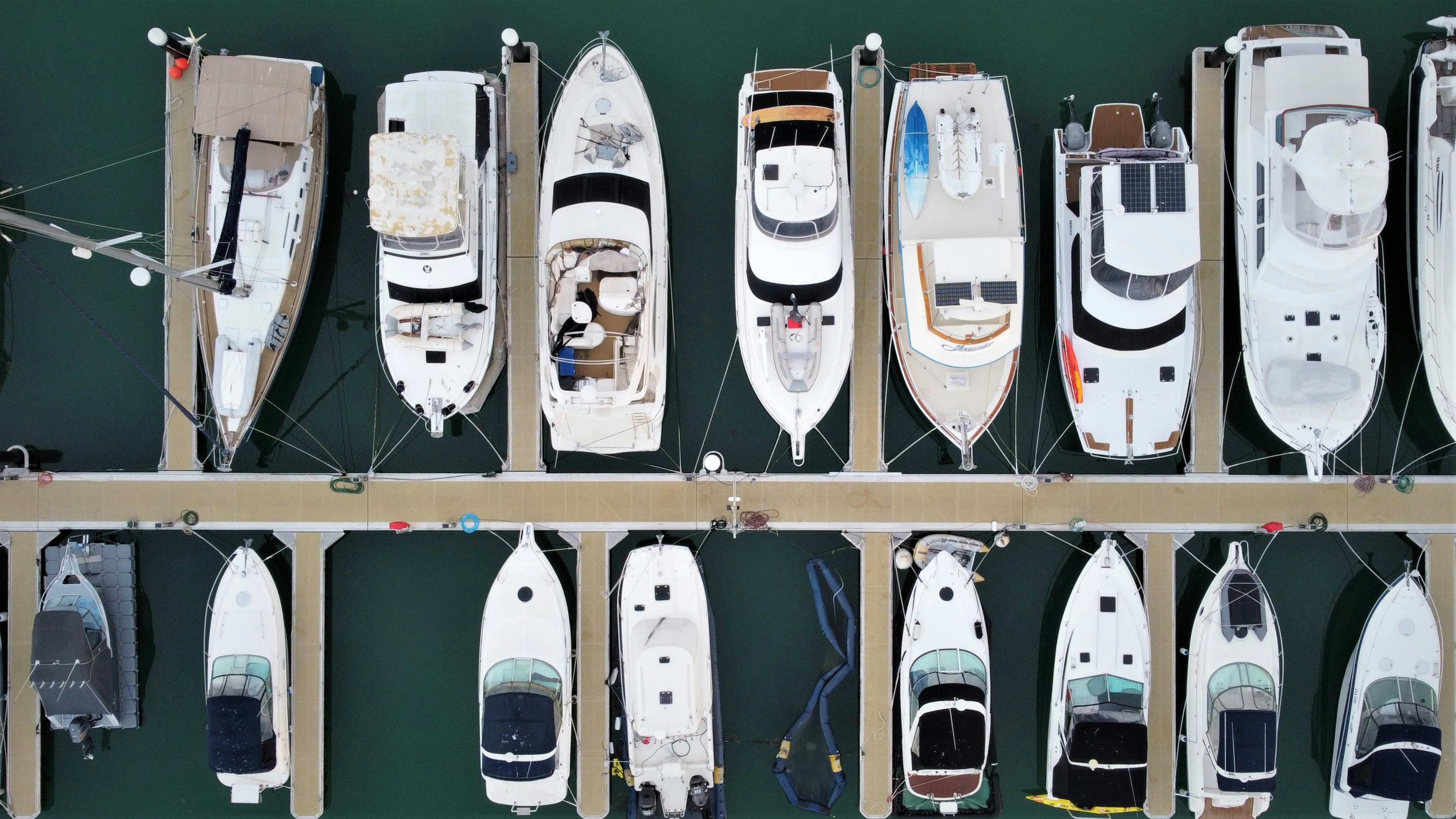 a group of skateboards on a rack