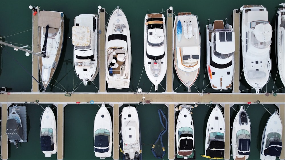 Un groupe de planches à roulettes sur un rack