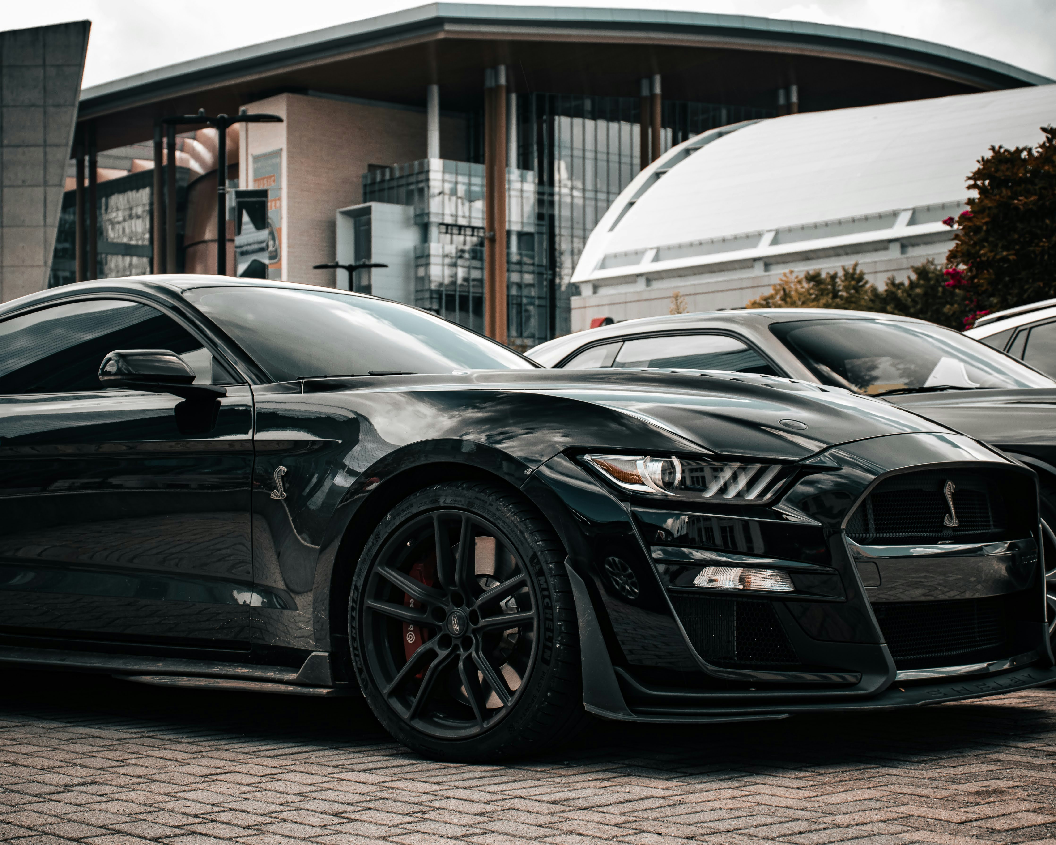 Photo by brice_cooper18