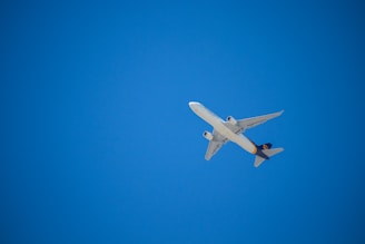 a jet flying in the sky