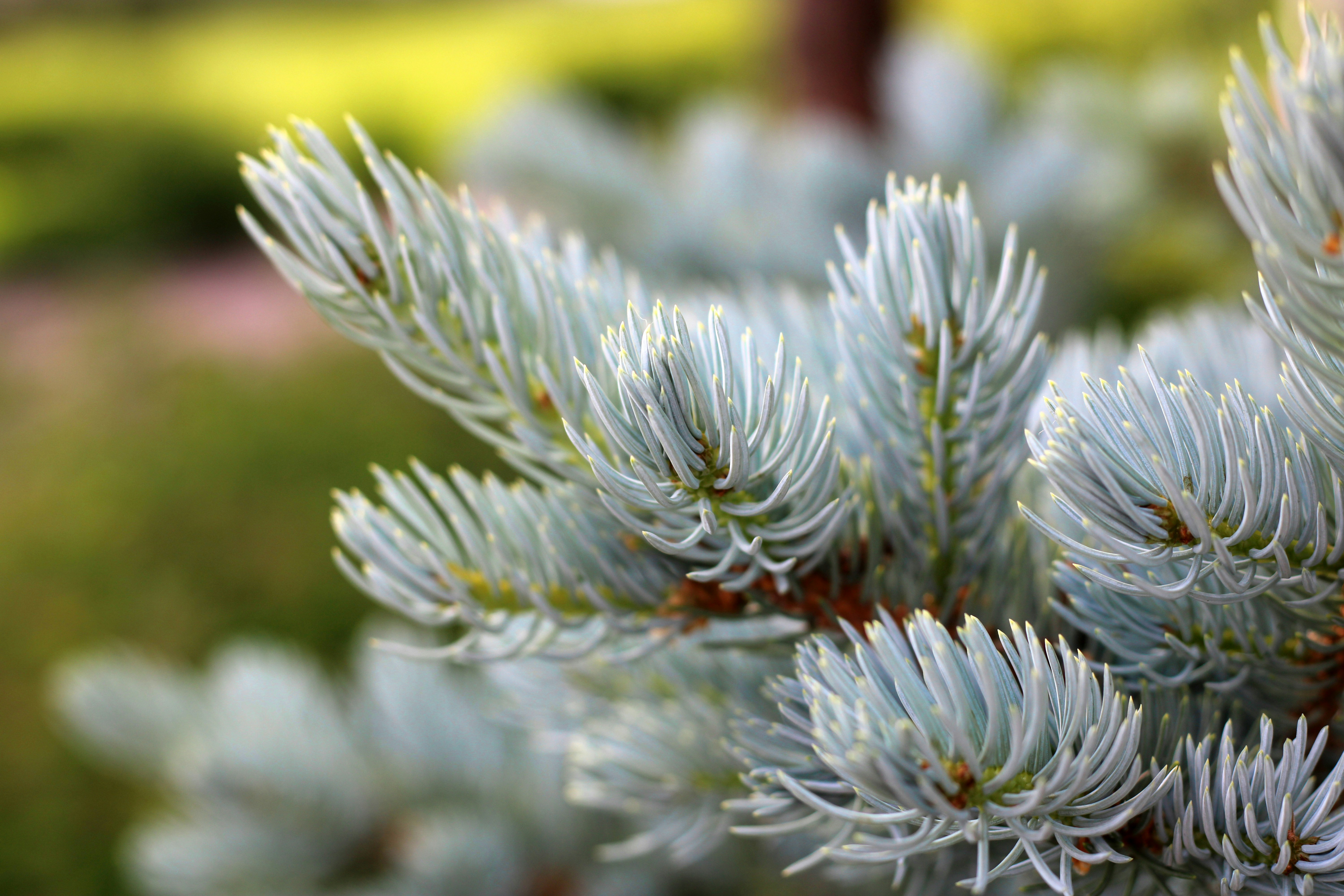 Photo by slenderamigo