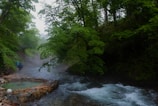 A lush, green forest scene with a flowing river and a natural hot spring pool. Mist hangs in the air, and two people wearing outdoor gear are walking along the riverbank.