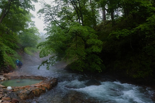 A lush, green forest scene with a flowing river and a natural hot spring pool. Mist hangs in the air, and two people wearing outdoor gear are walking along the riverbank.