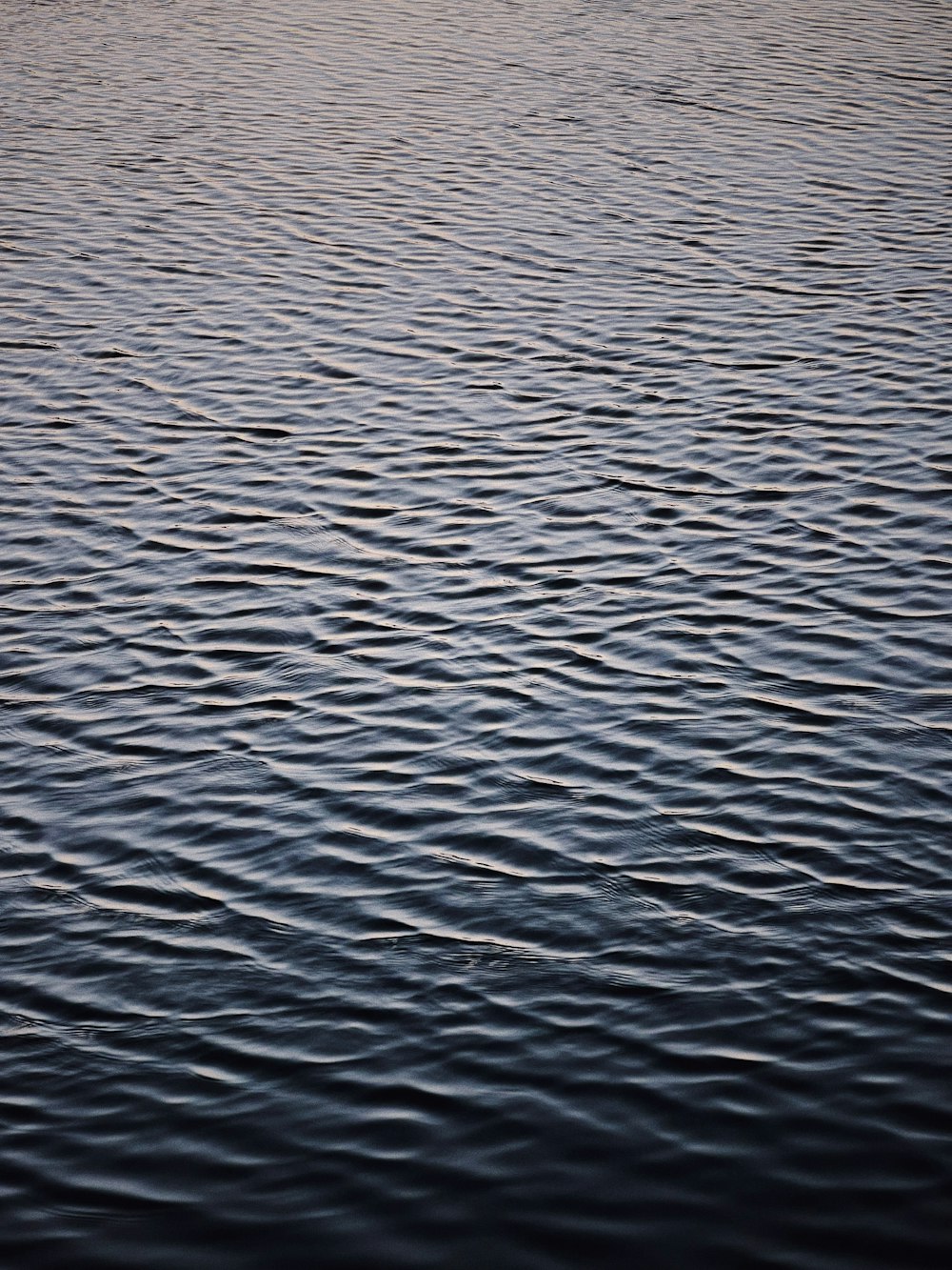 a body of water with ripples