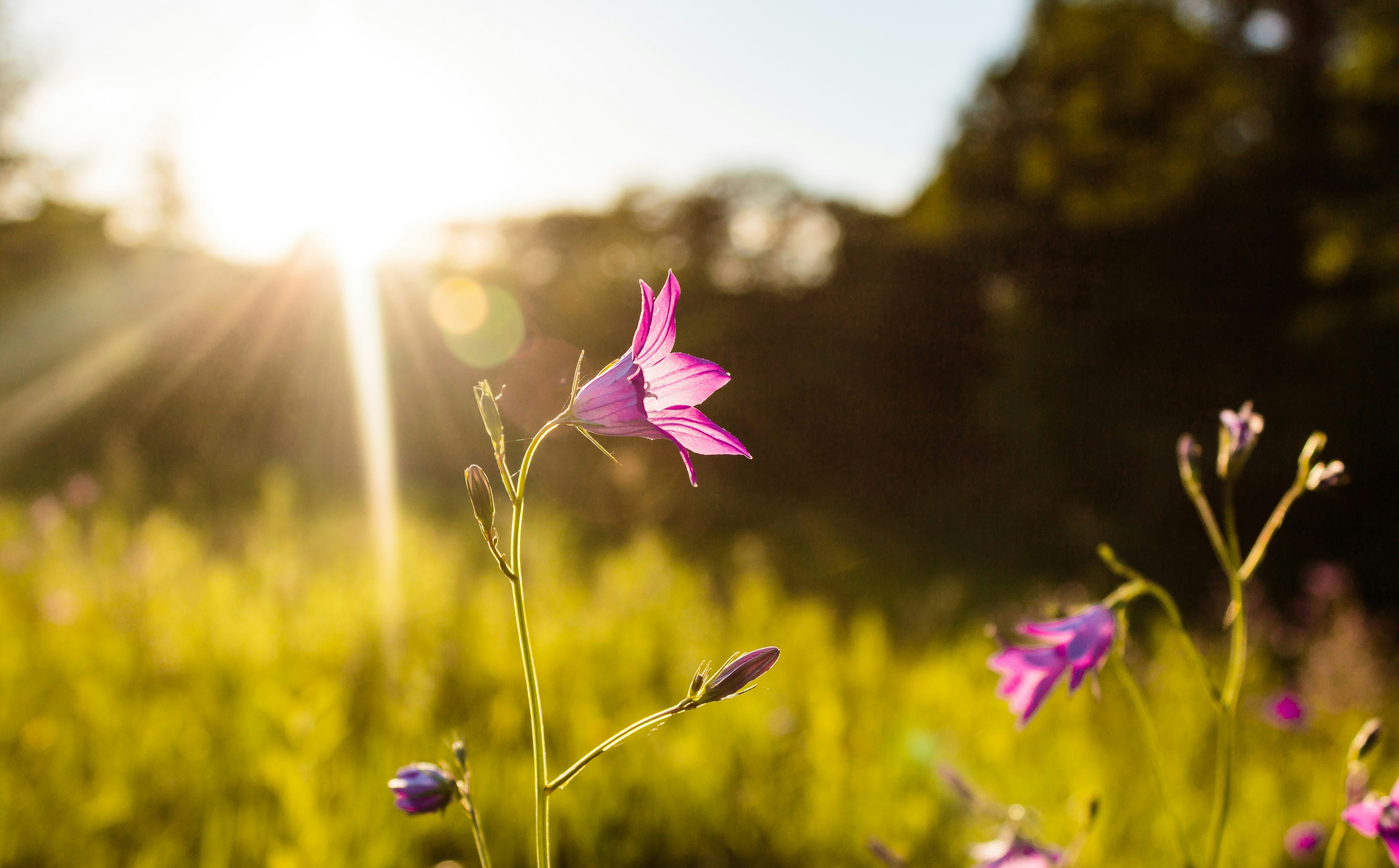 Photo by viktorsmoliak