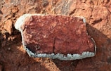 A rough, reddish-brown rock is laying on a surface with patches of white lichen growing around its edges. The texture of the rock is rugged and uneven, indicating natural weathering. The background is composed of a similarly colored terrain, adding a rustic and earthy appeal.