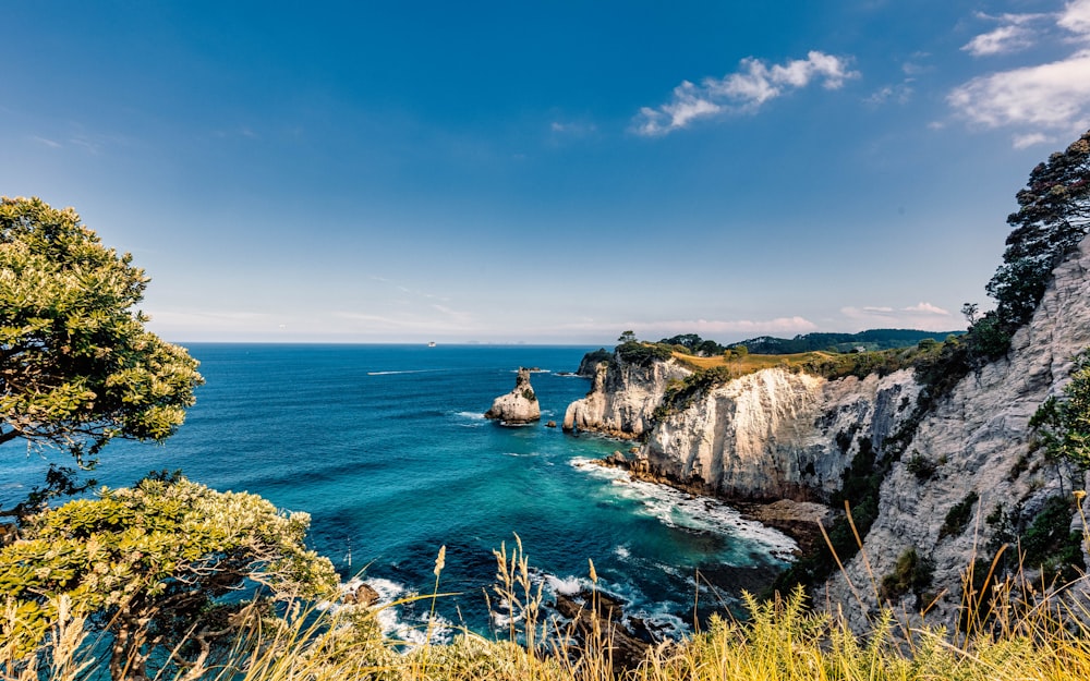 a rocky coast line