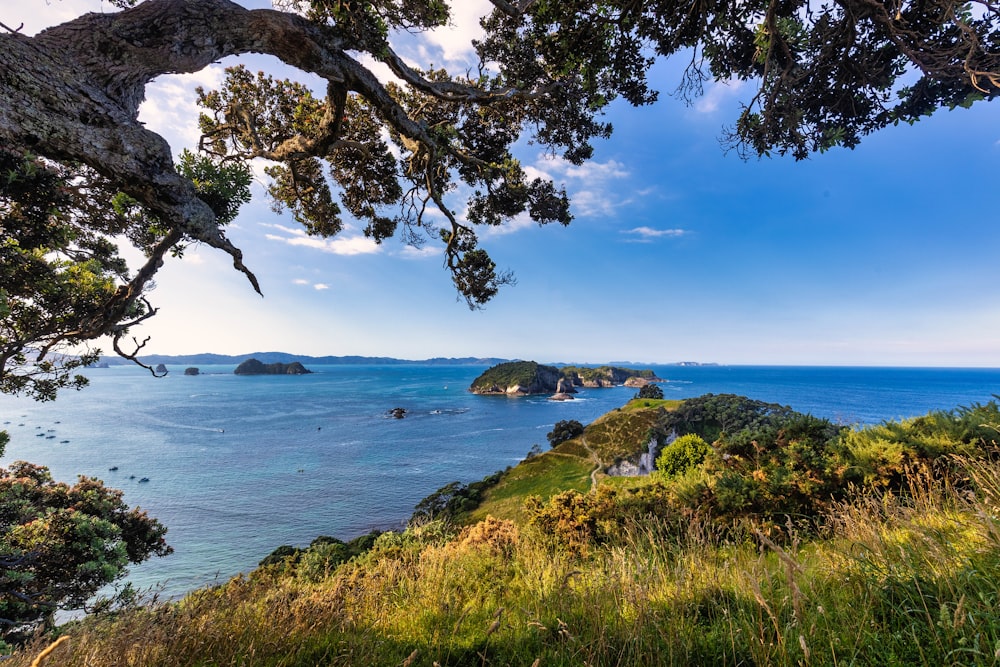 a view of a beach and ocean