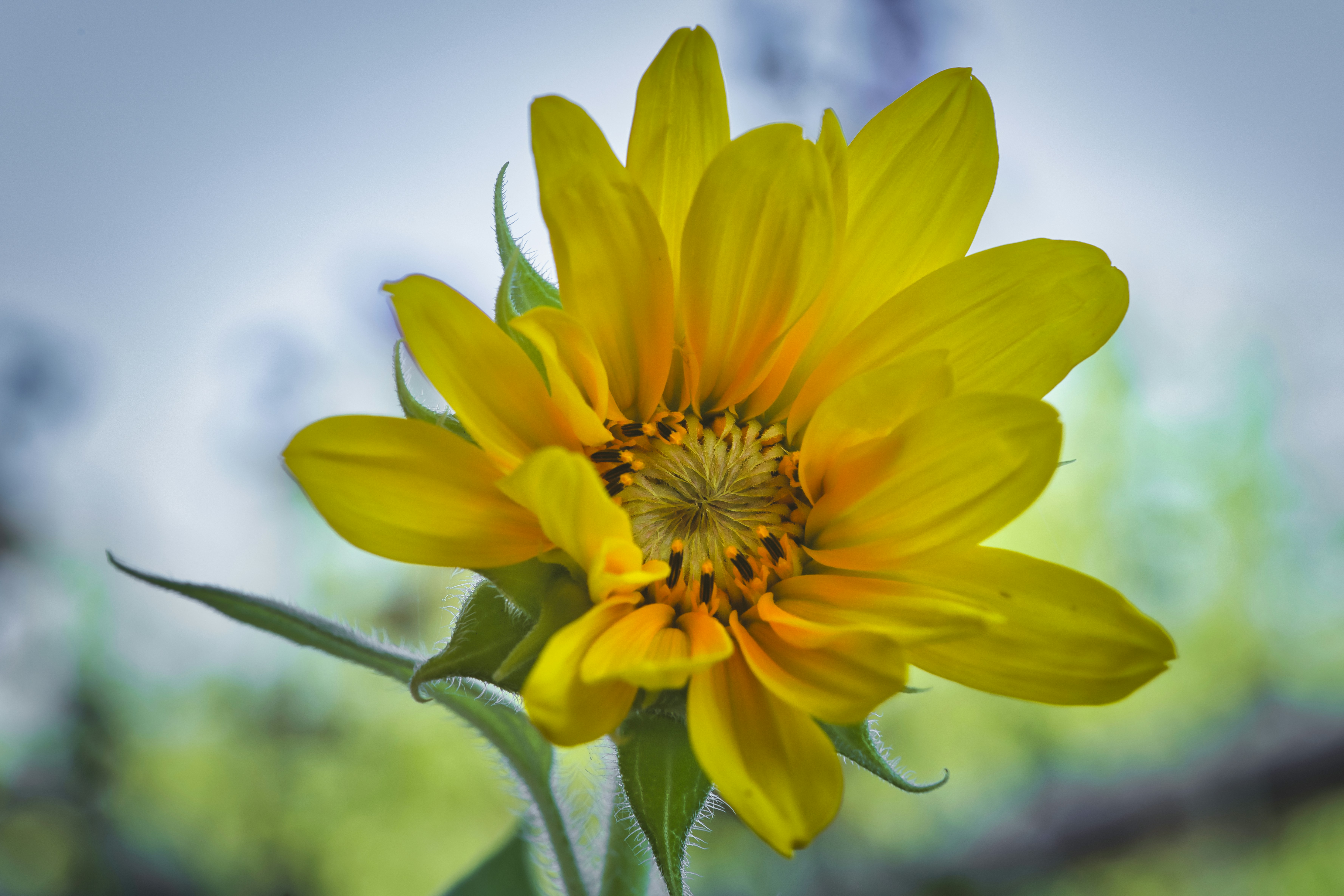 Photo by unsplashtim82