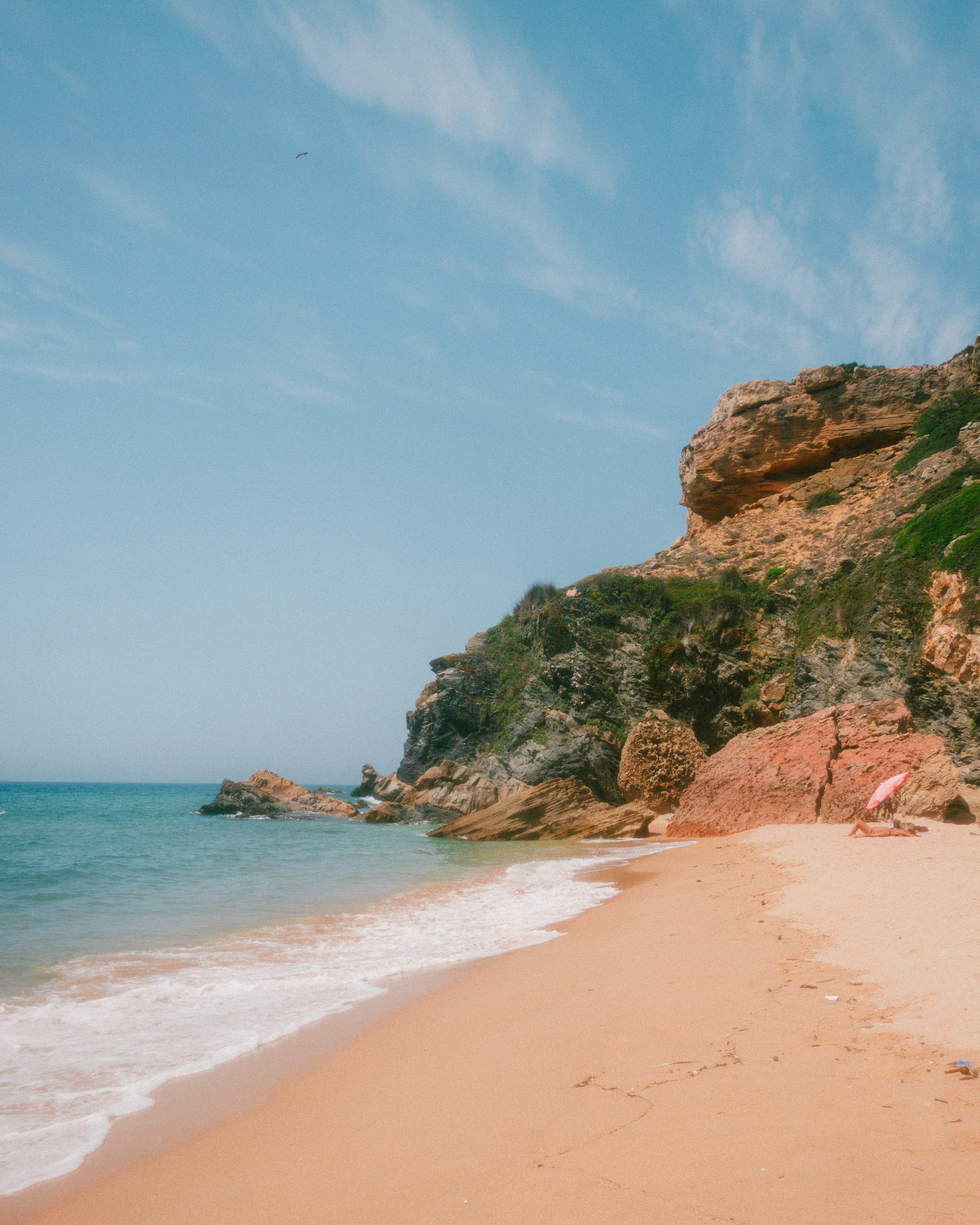 Photo by rodrigoesant