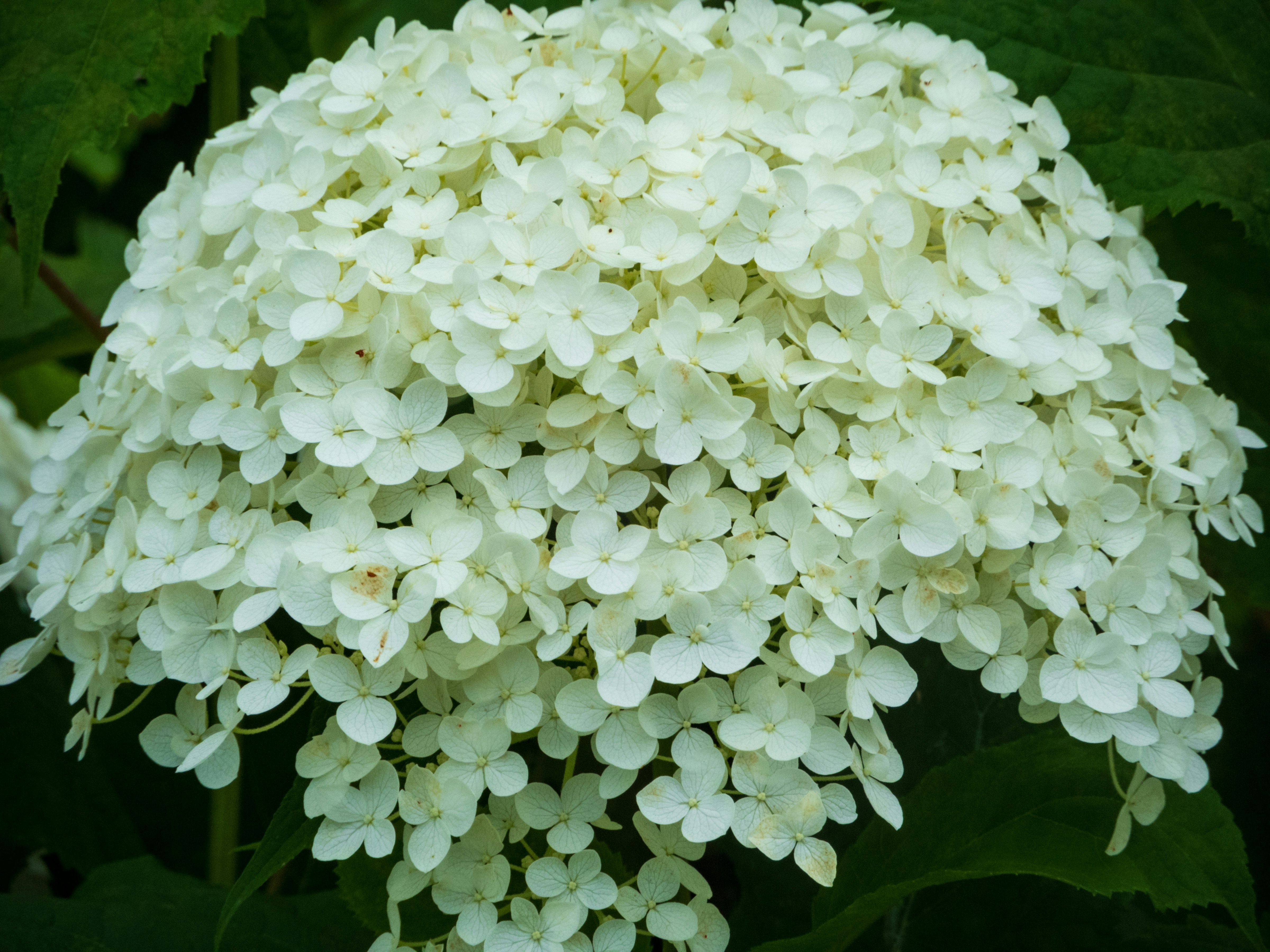 Photo by heppoko_yama