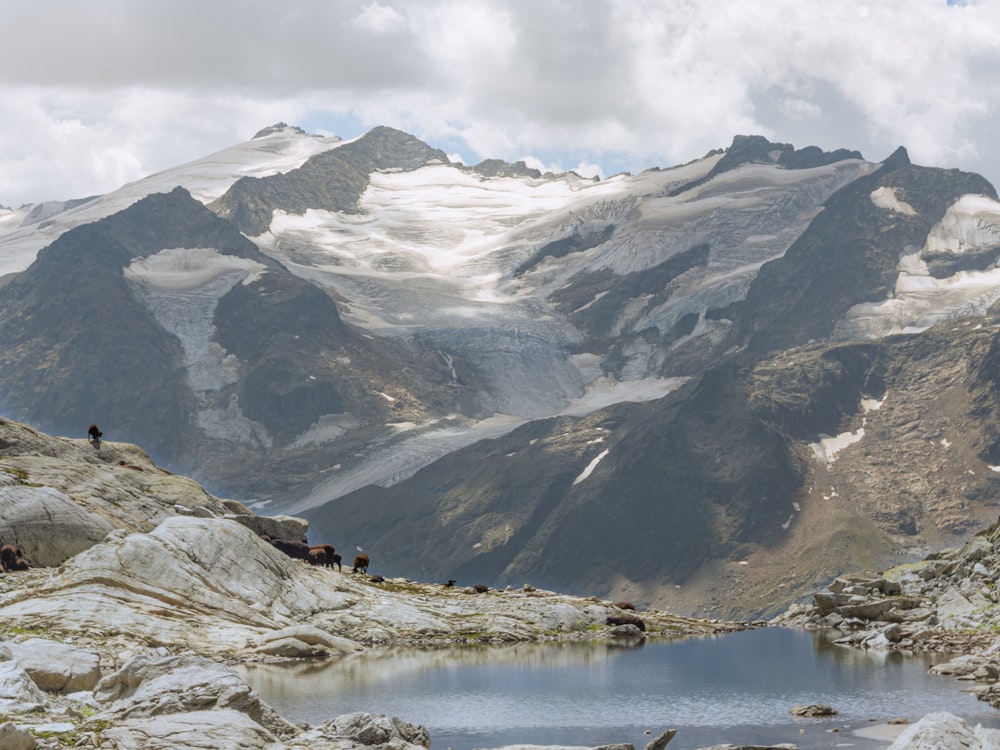 a group of people on a rocky mountain top