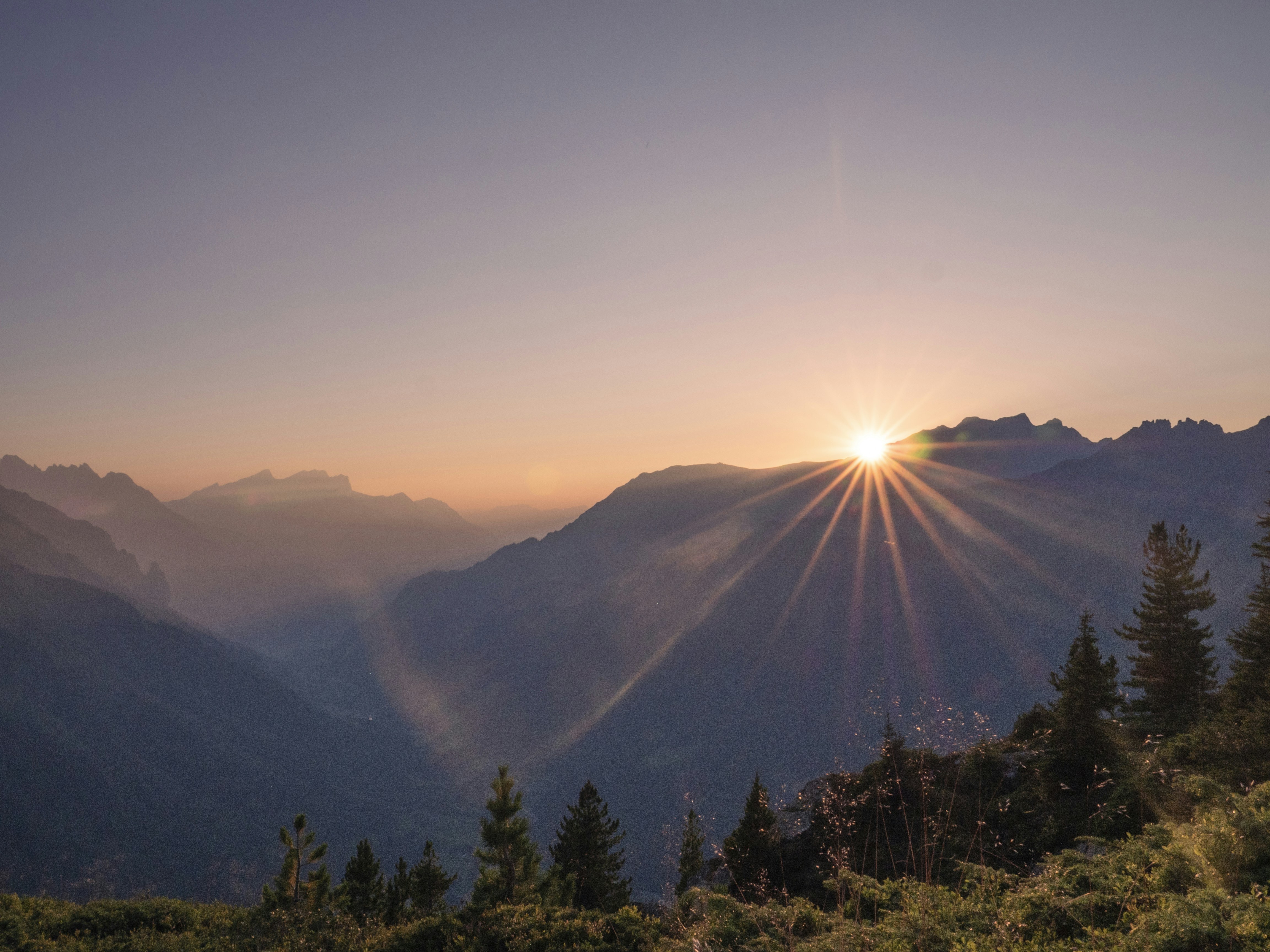 Photo by noah_dustin