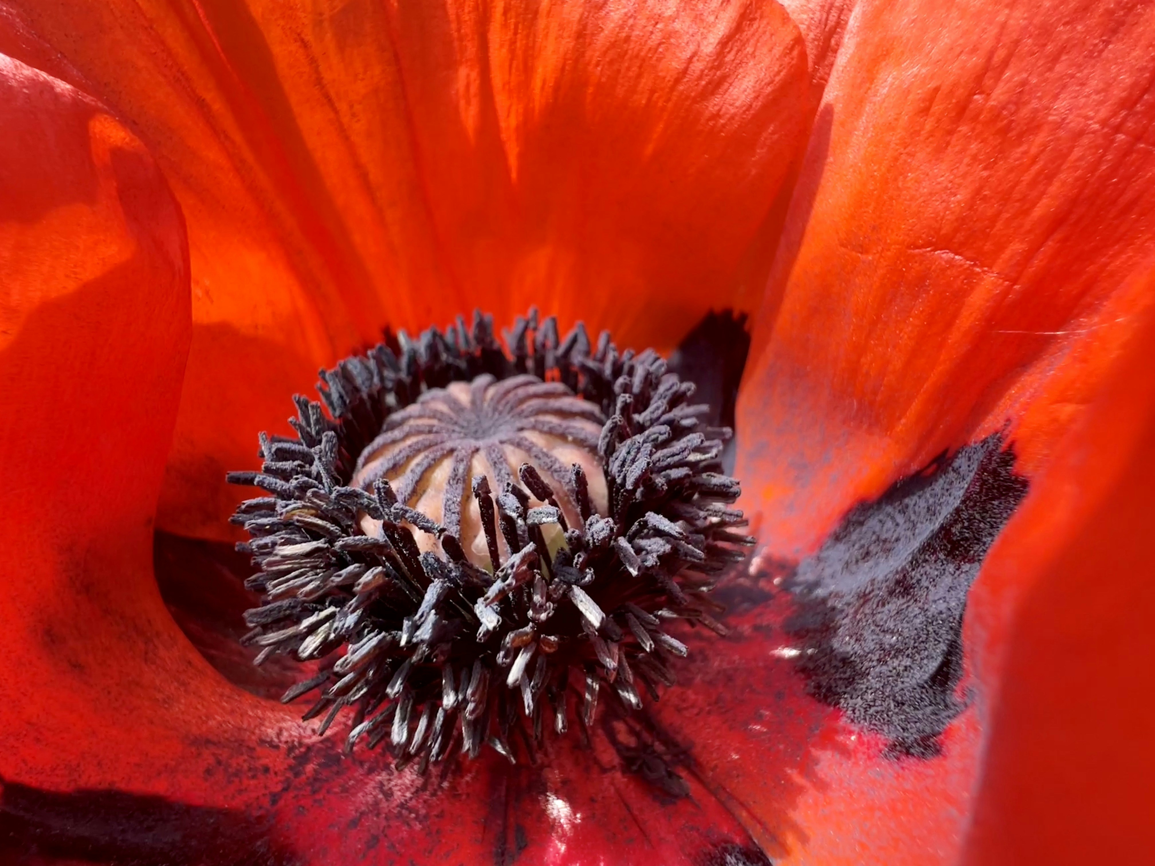 Photo by kallehamburg