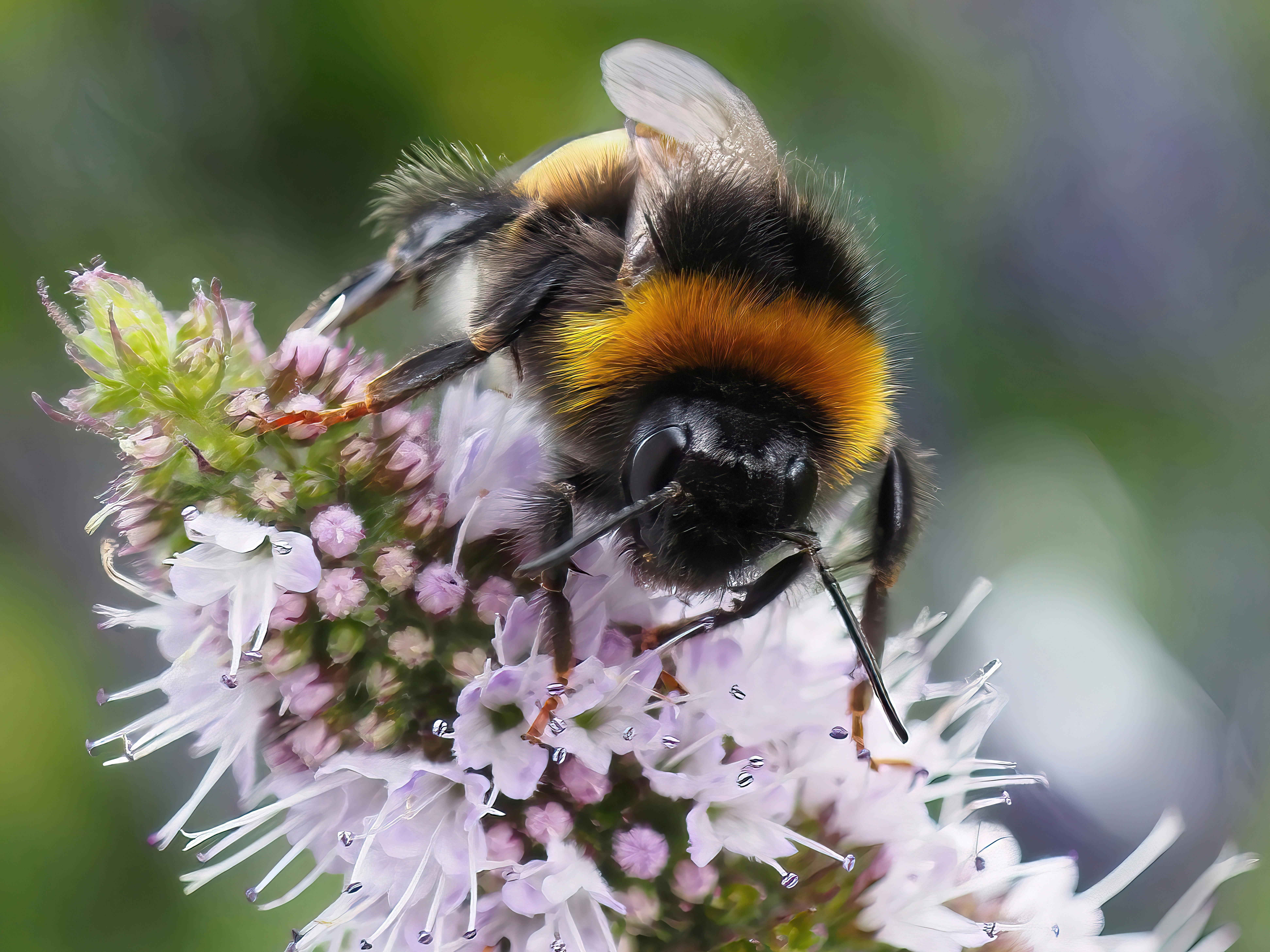 Photo by kallehamburg