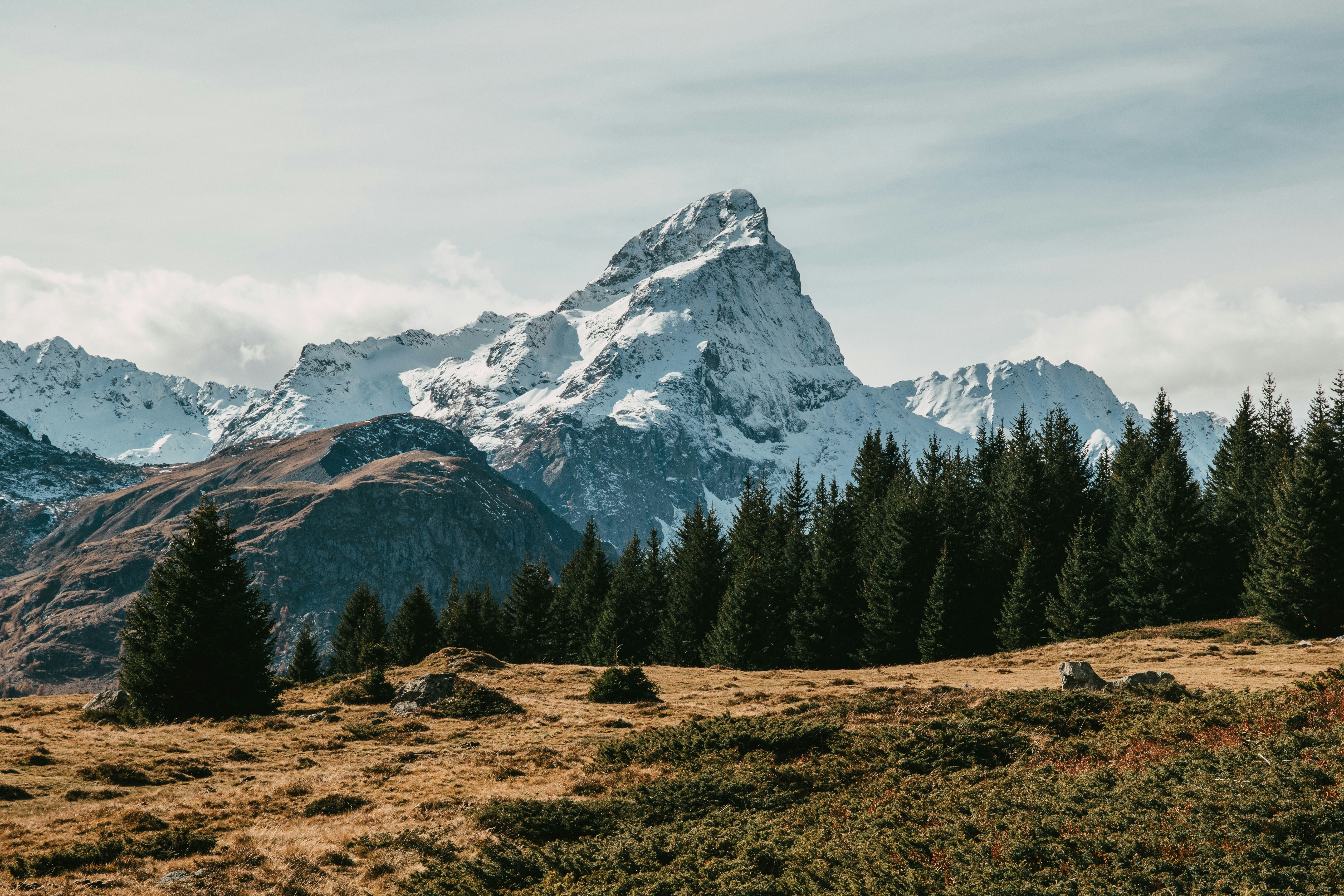 Engadine, New South Wales