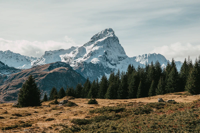 Swiss Alps
