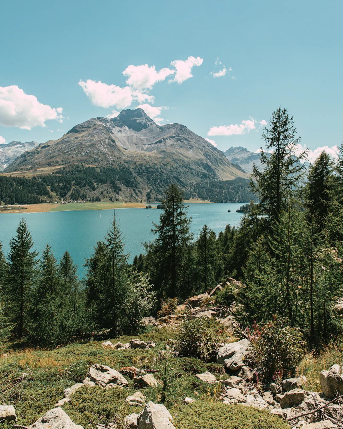 Lake surrounded by larch forest and mountains in the Engadin