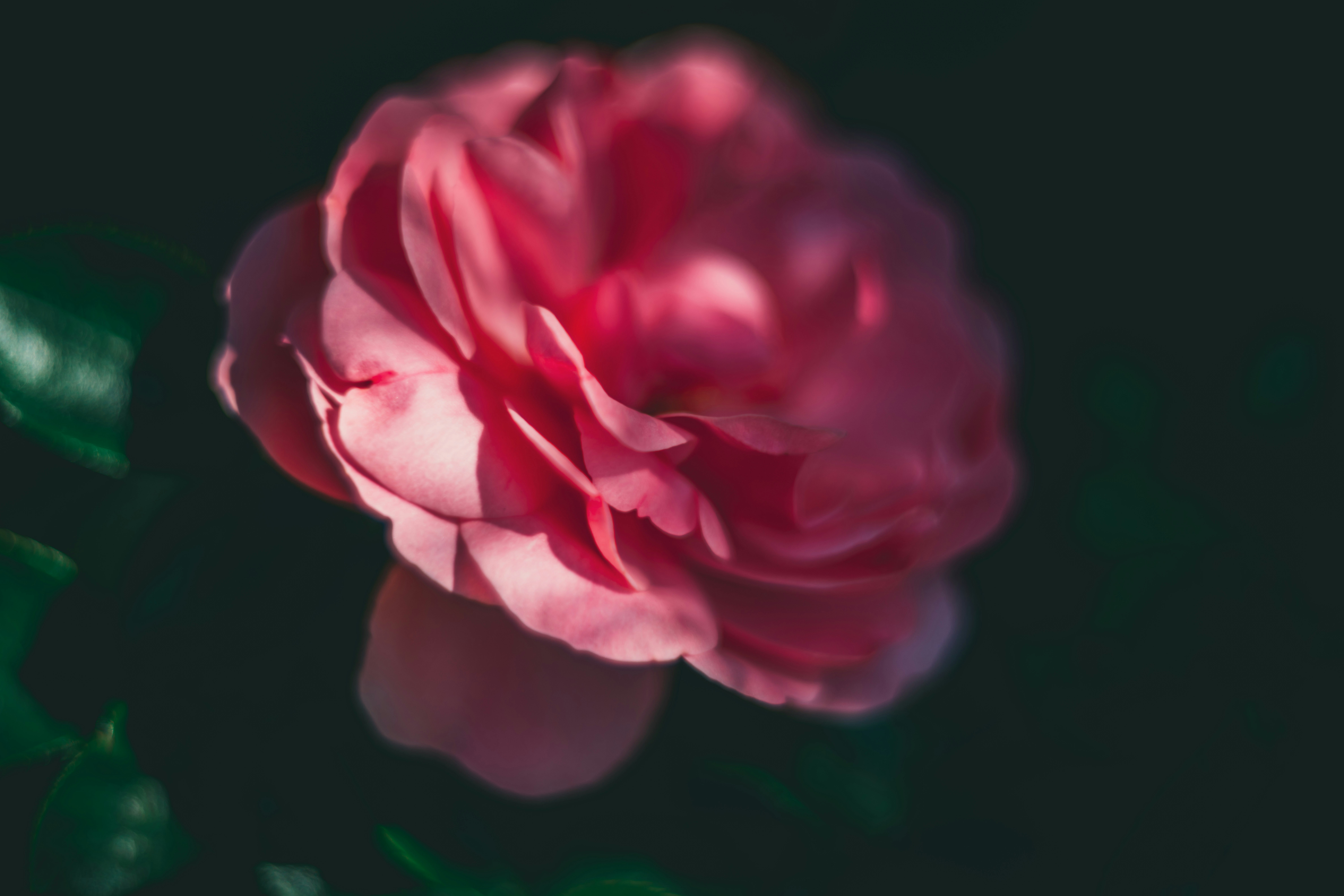 Photo by raimondklavins