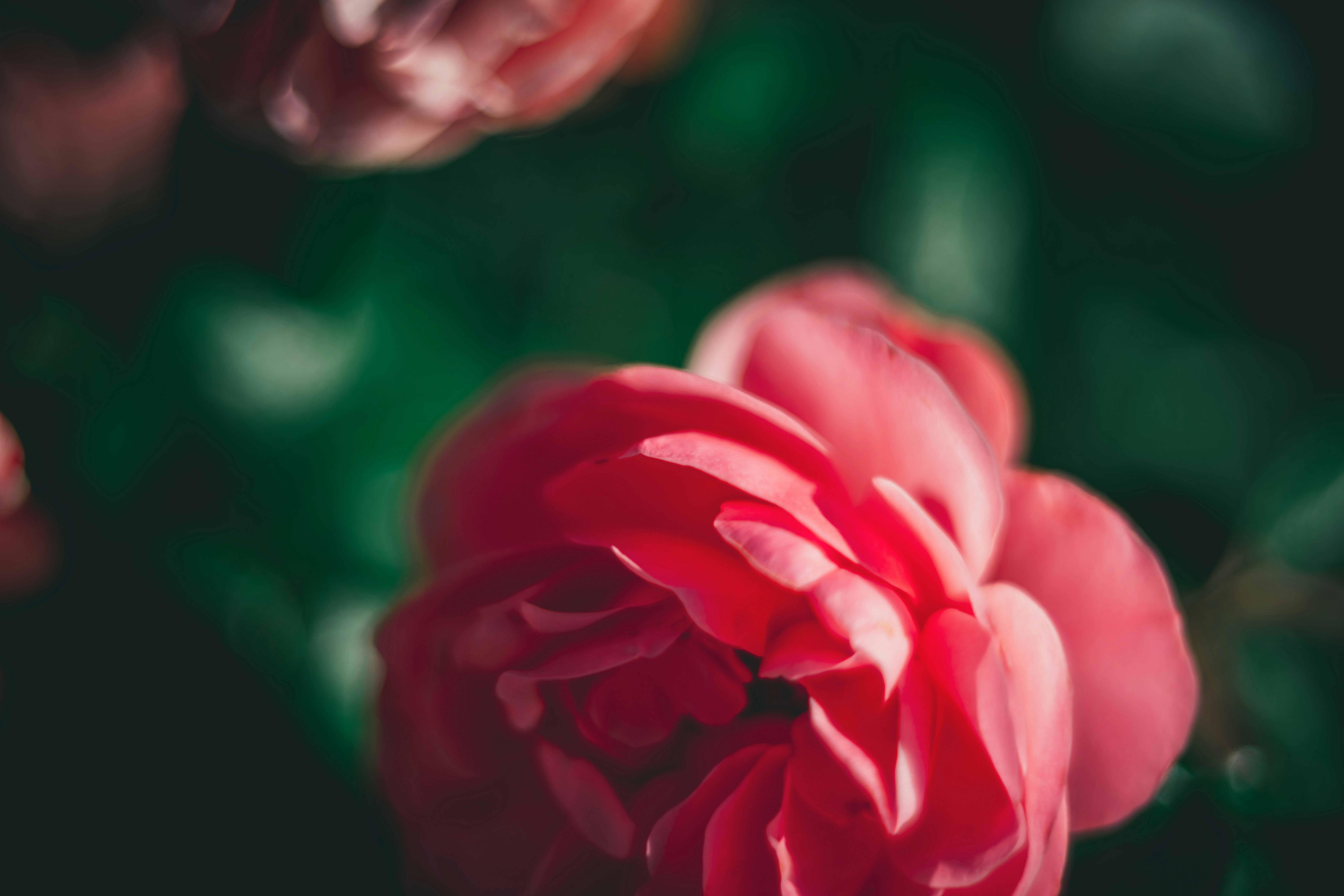 Photo by raimondklavins