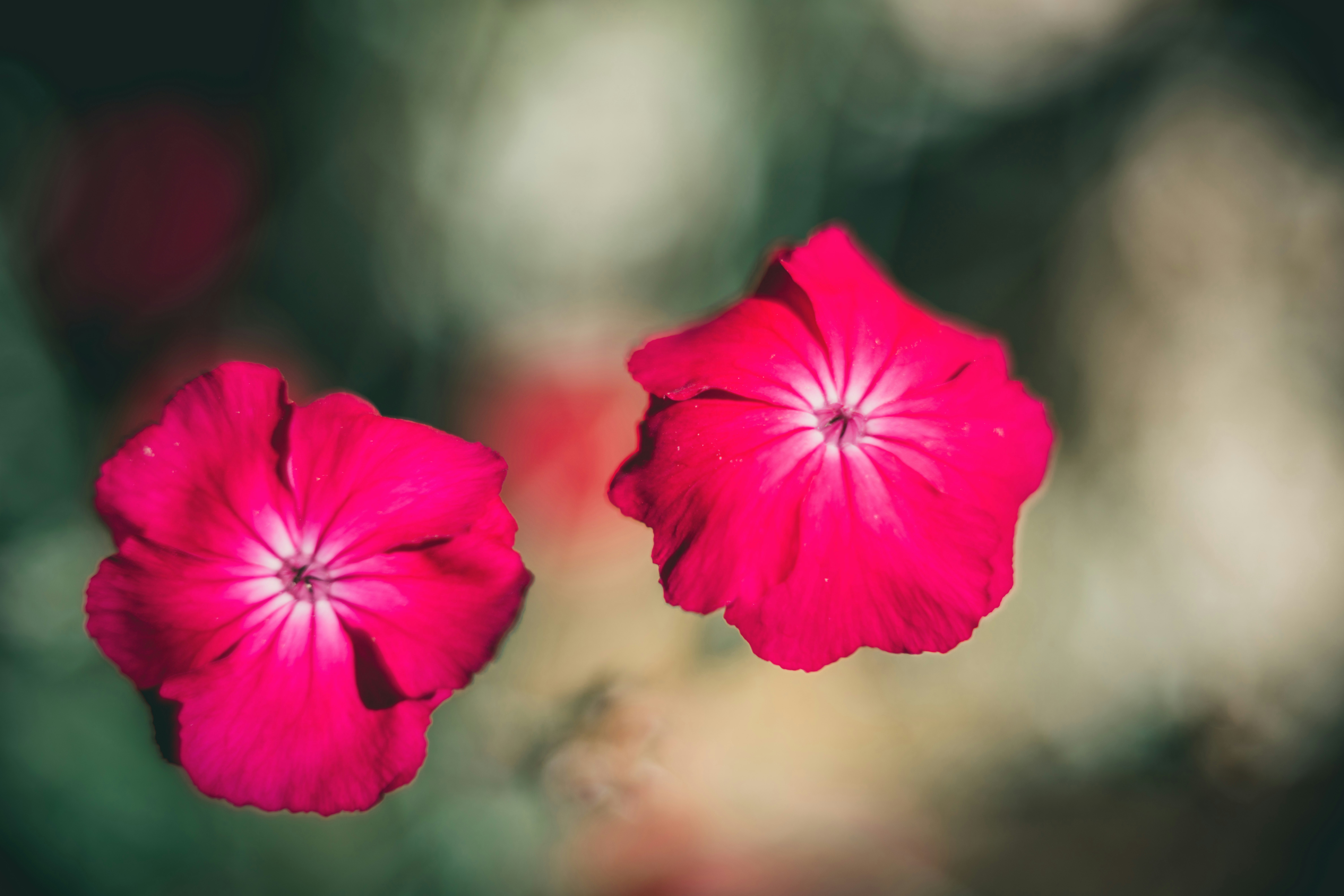 Photo by raimondklavins