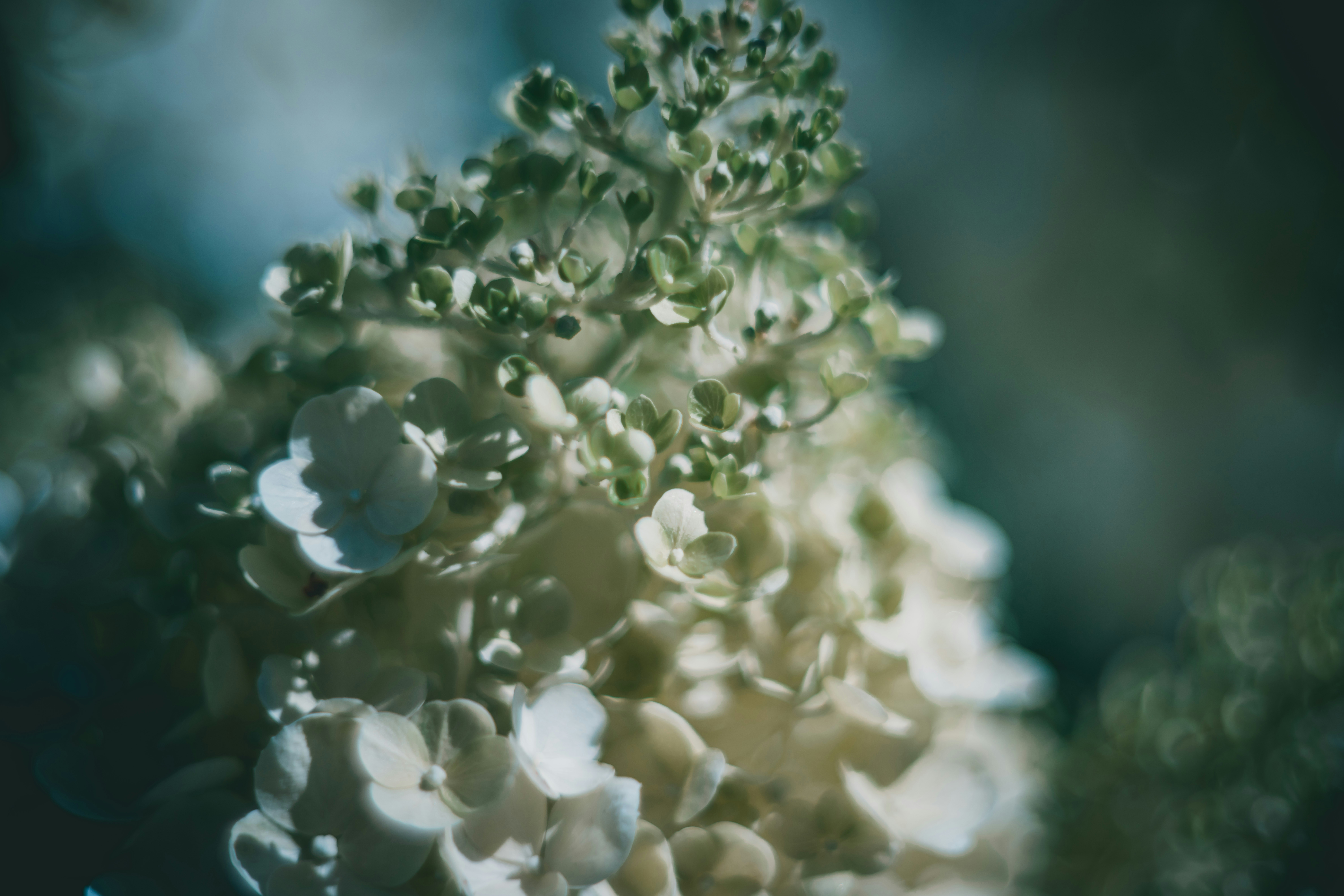 Photo by raimondklavins