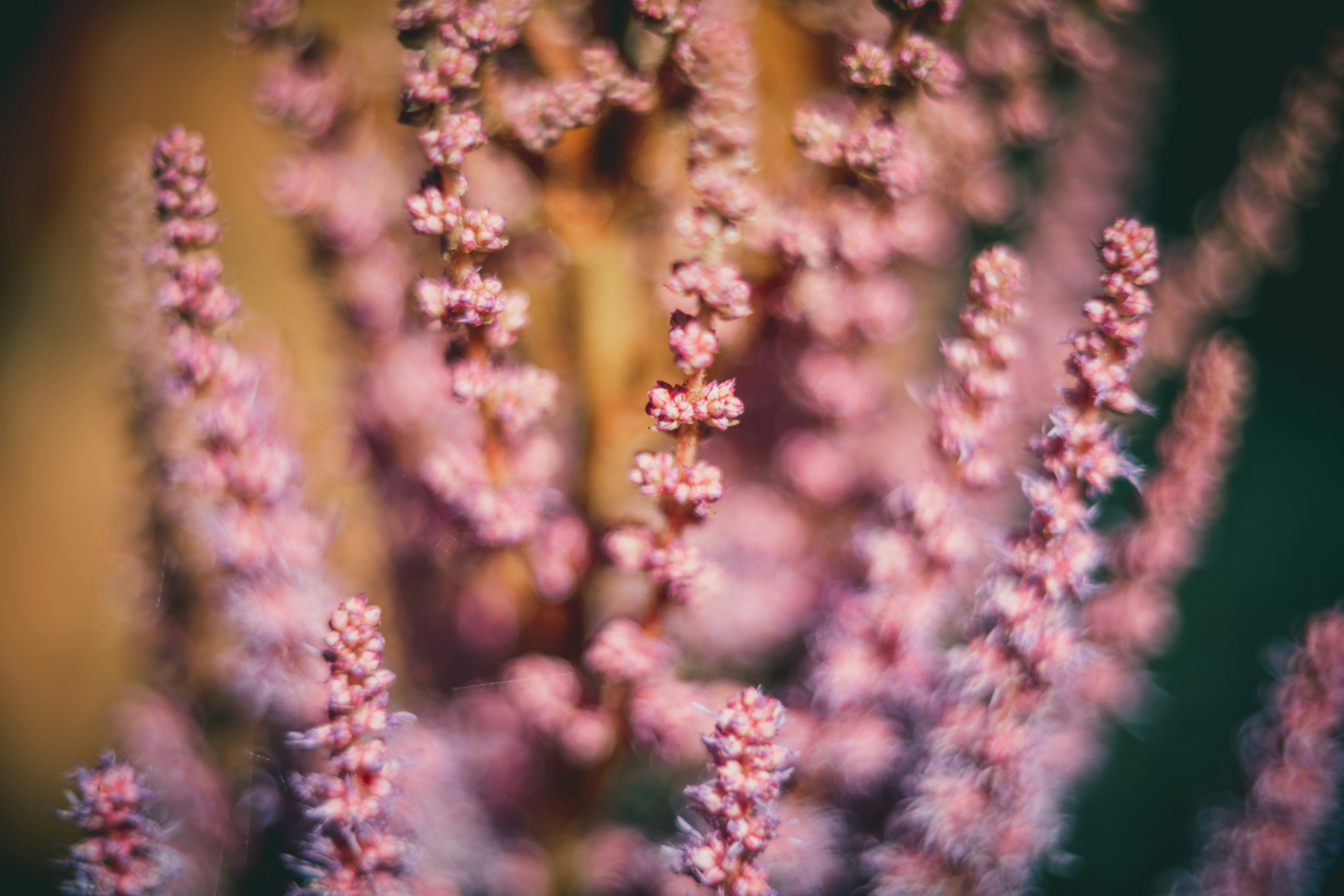 Photo by raimondklavins