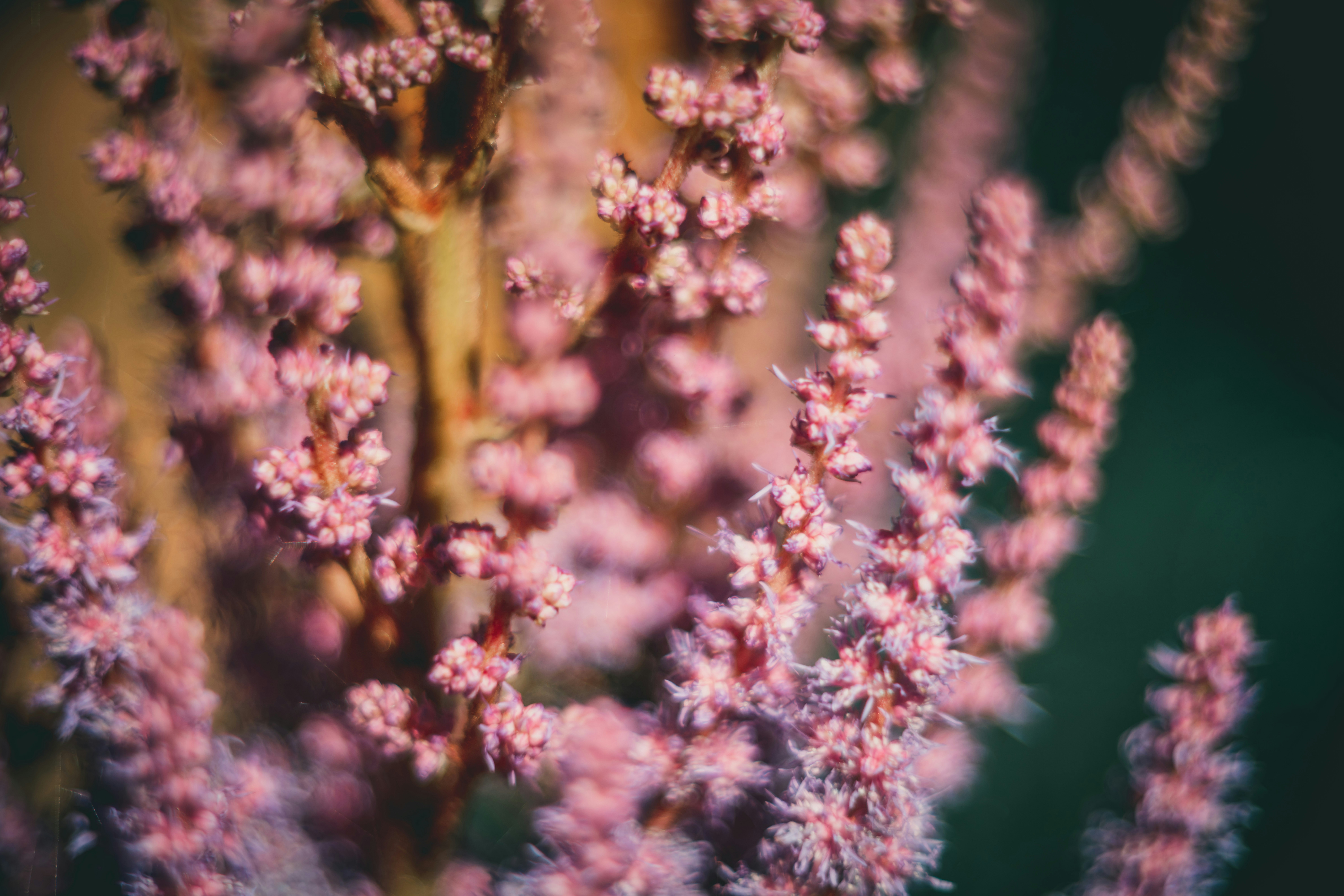 Photo by raimondklavins