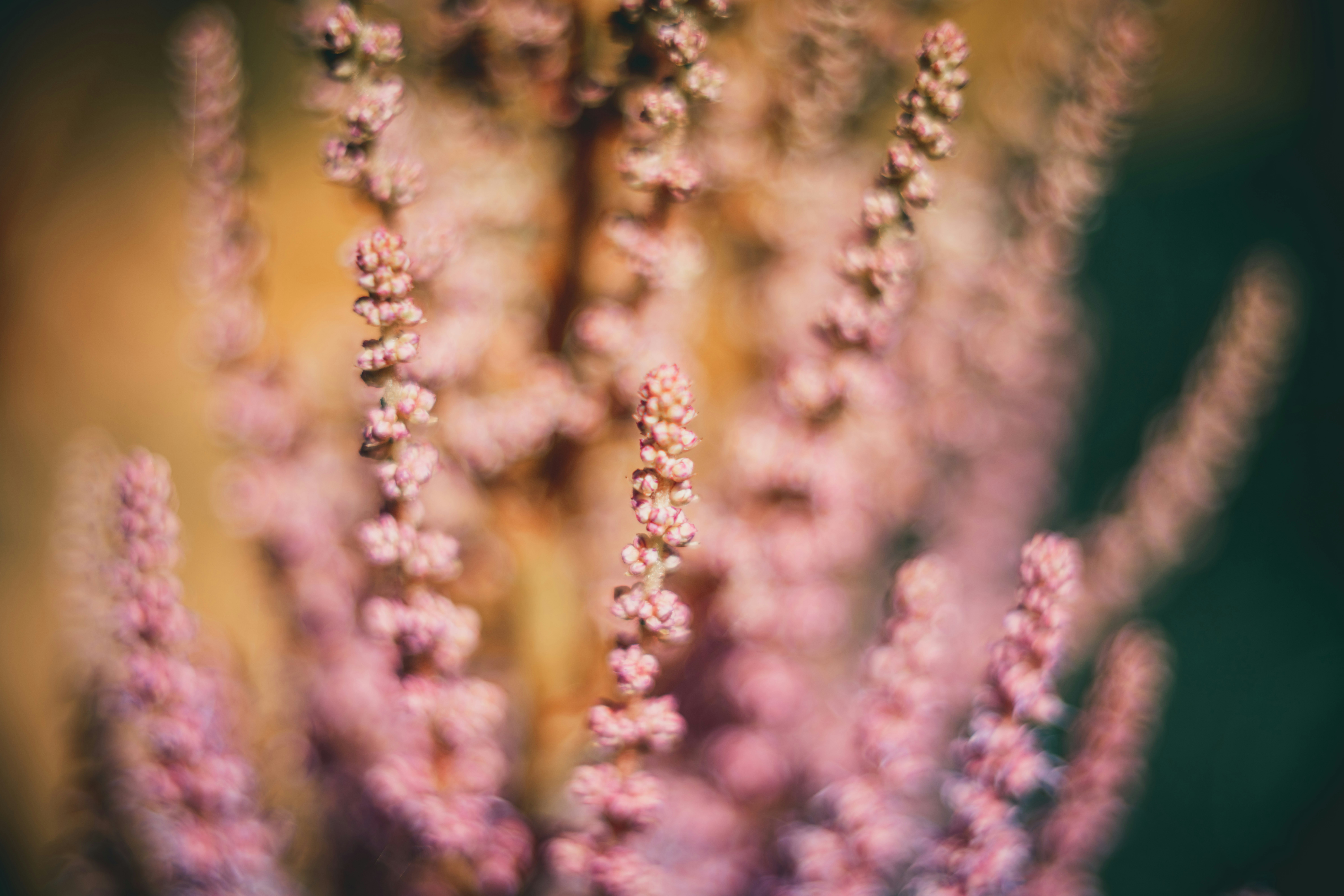 Photo by raimondklavins