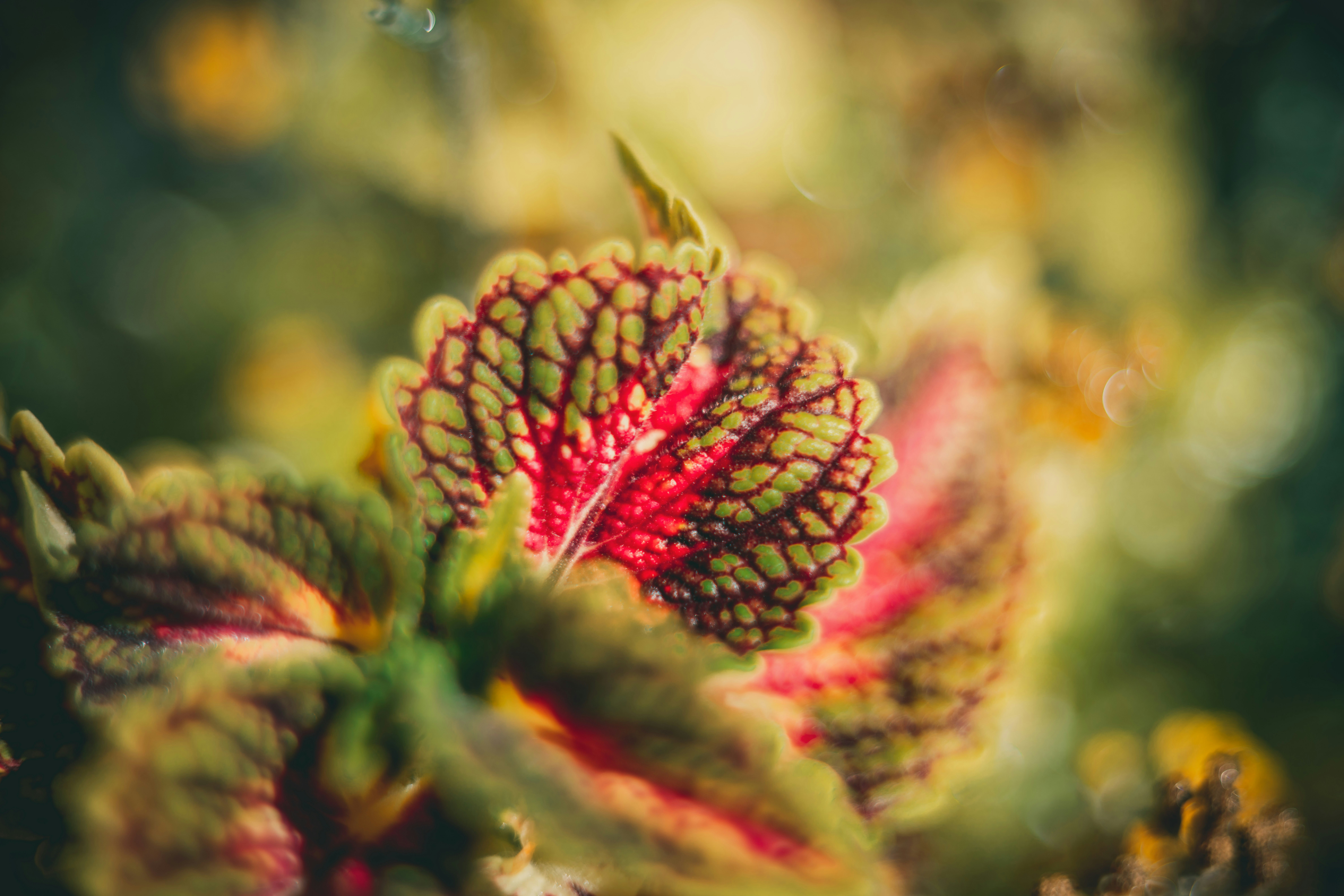 Photo by raimondklavins