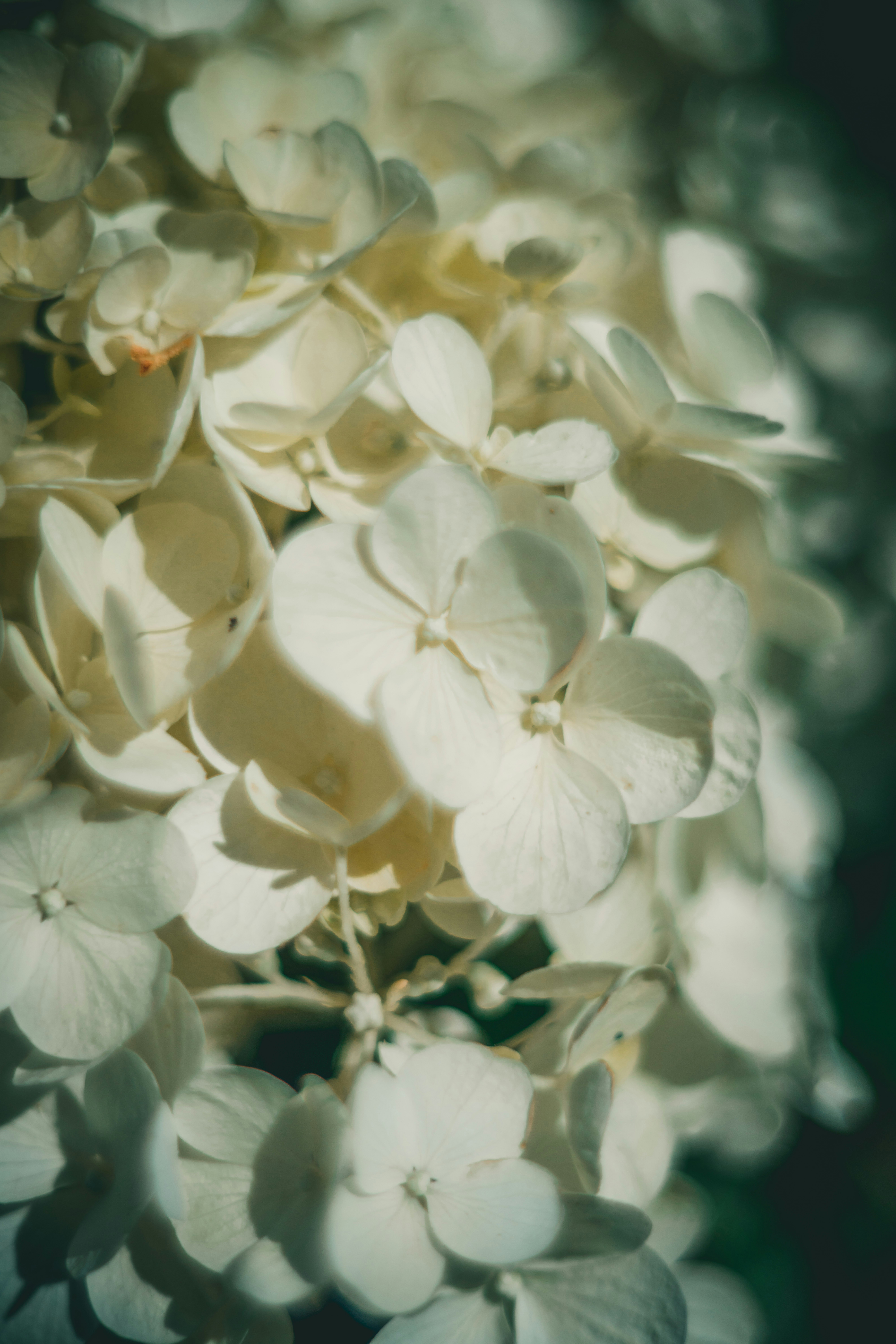 Photo by raimondklavins