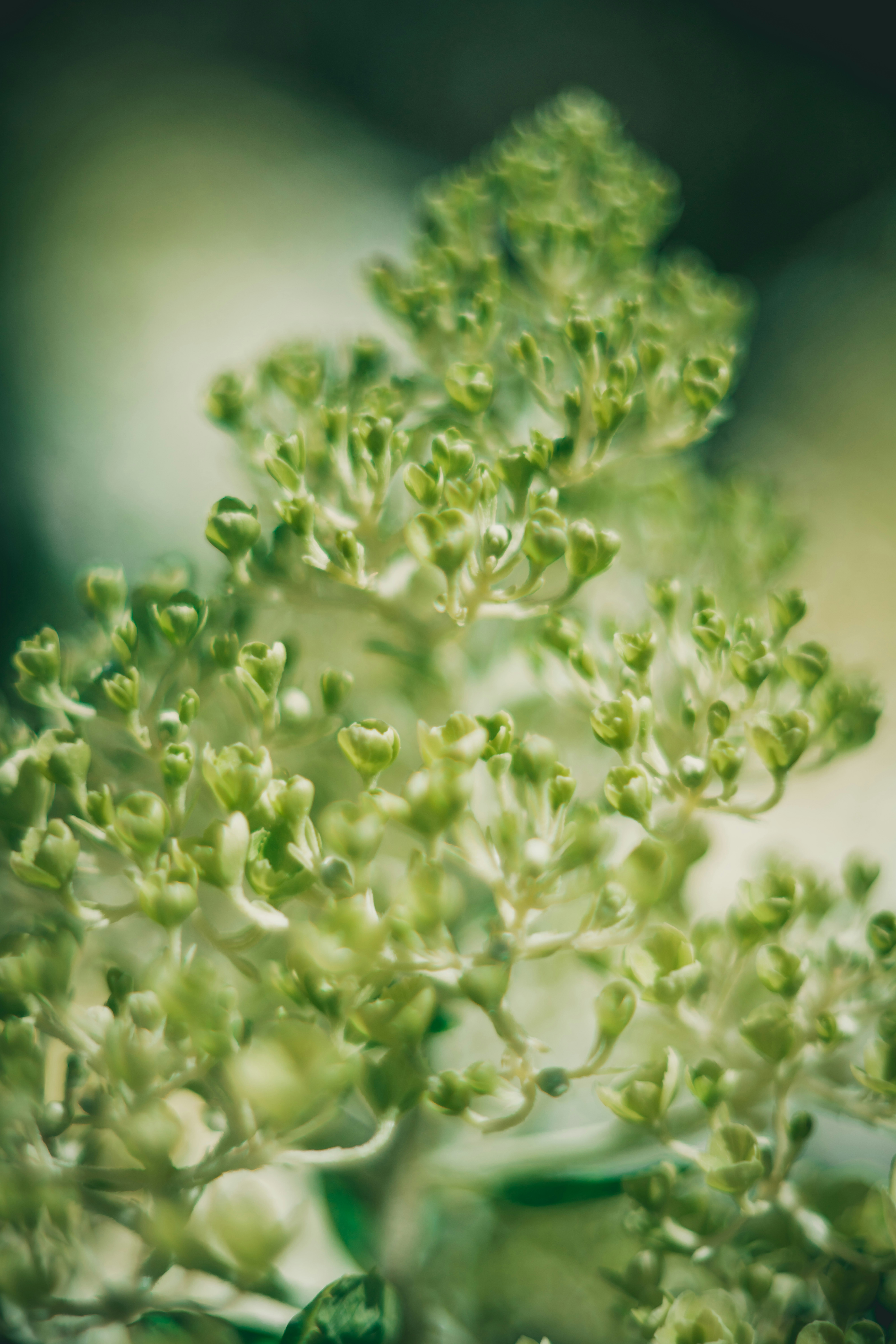 Photo by raimondklavins