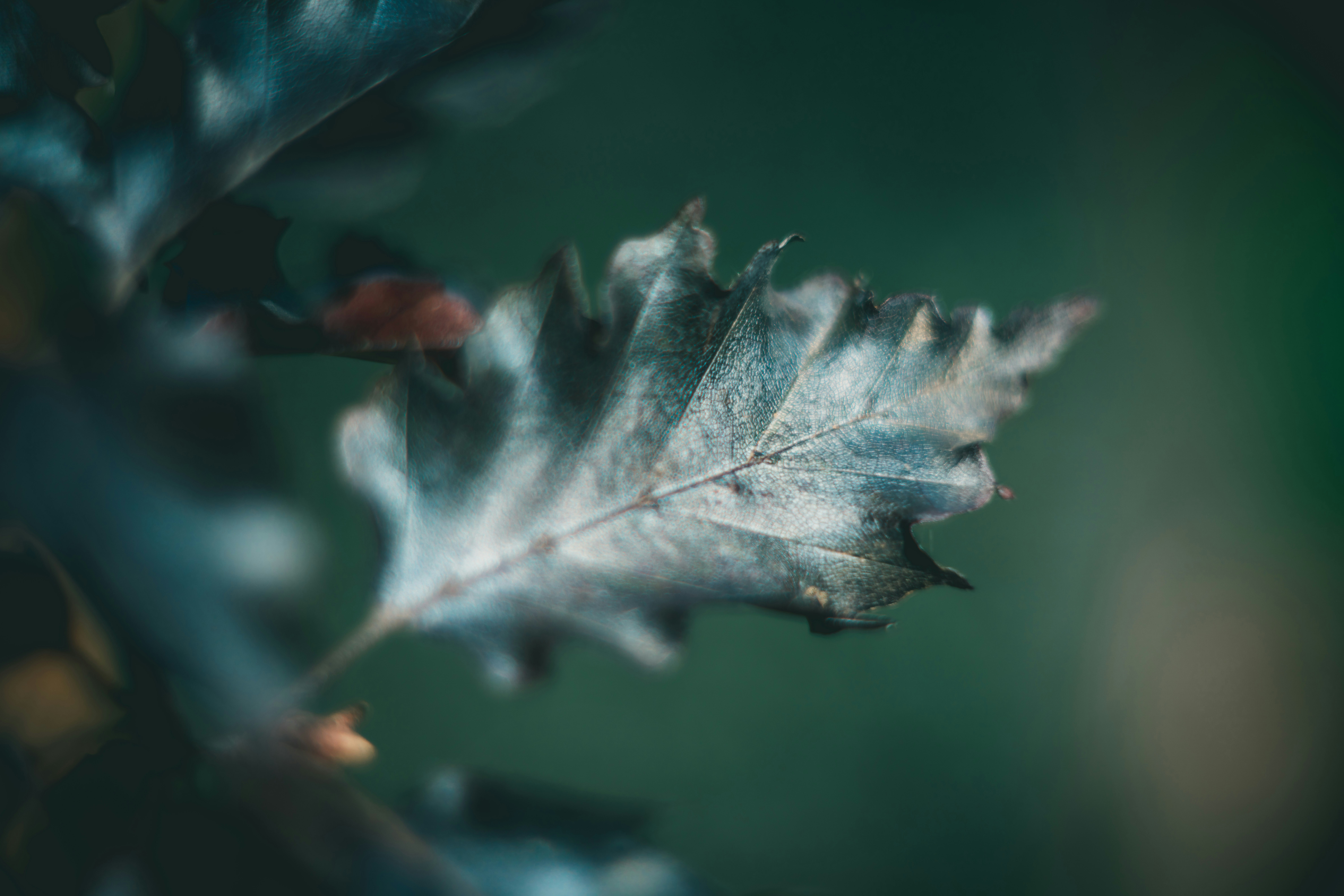 Photo by raimondklavins