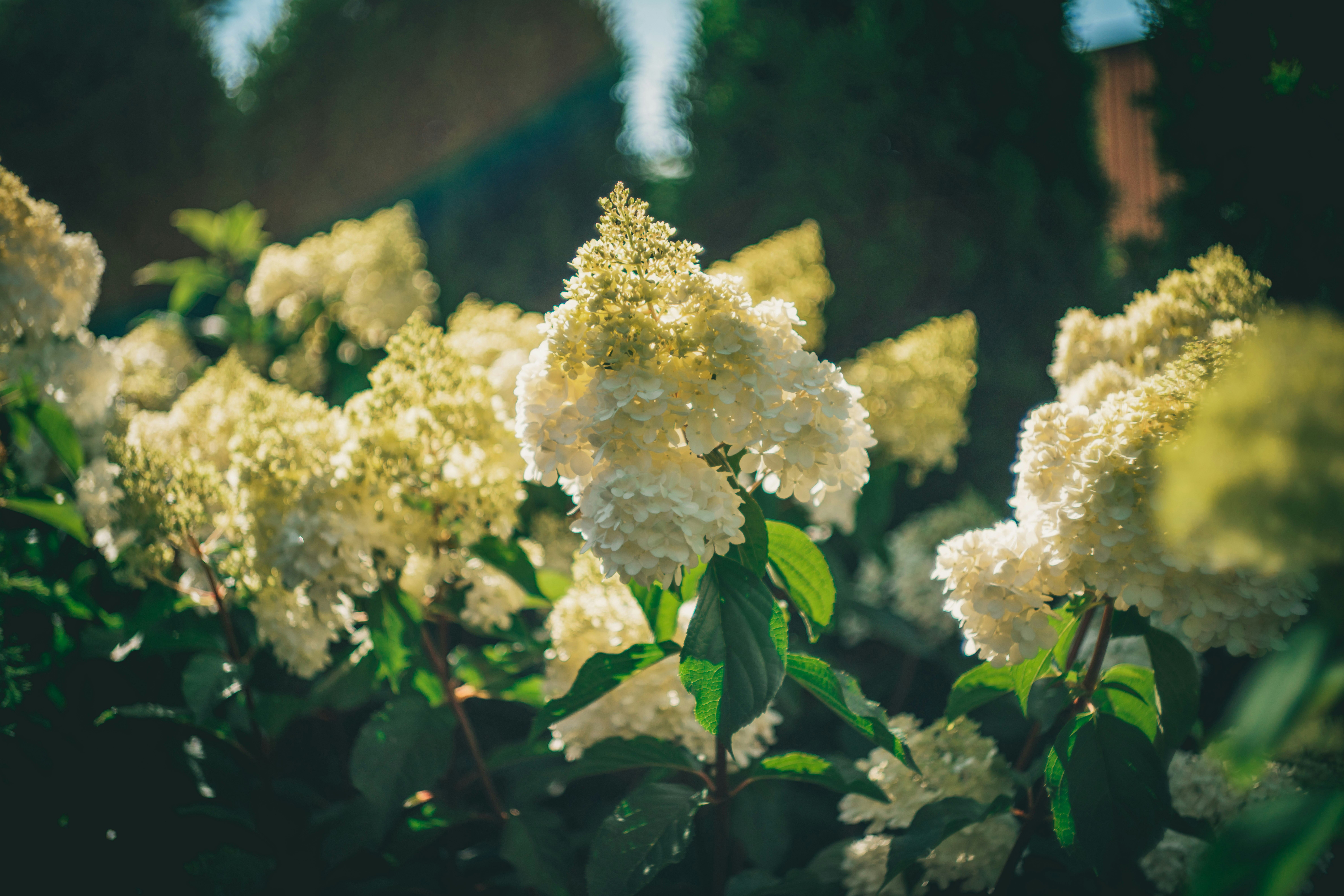 Photo by raimondklavins