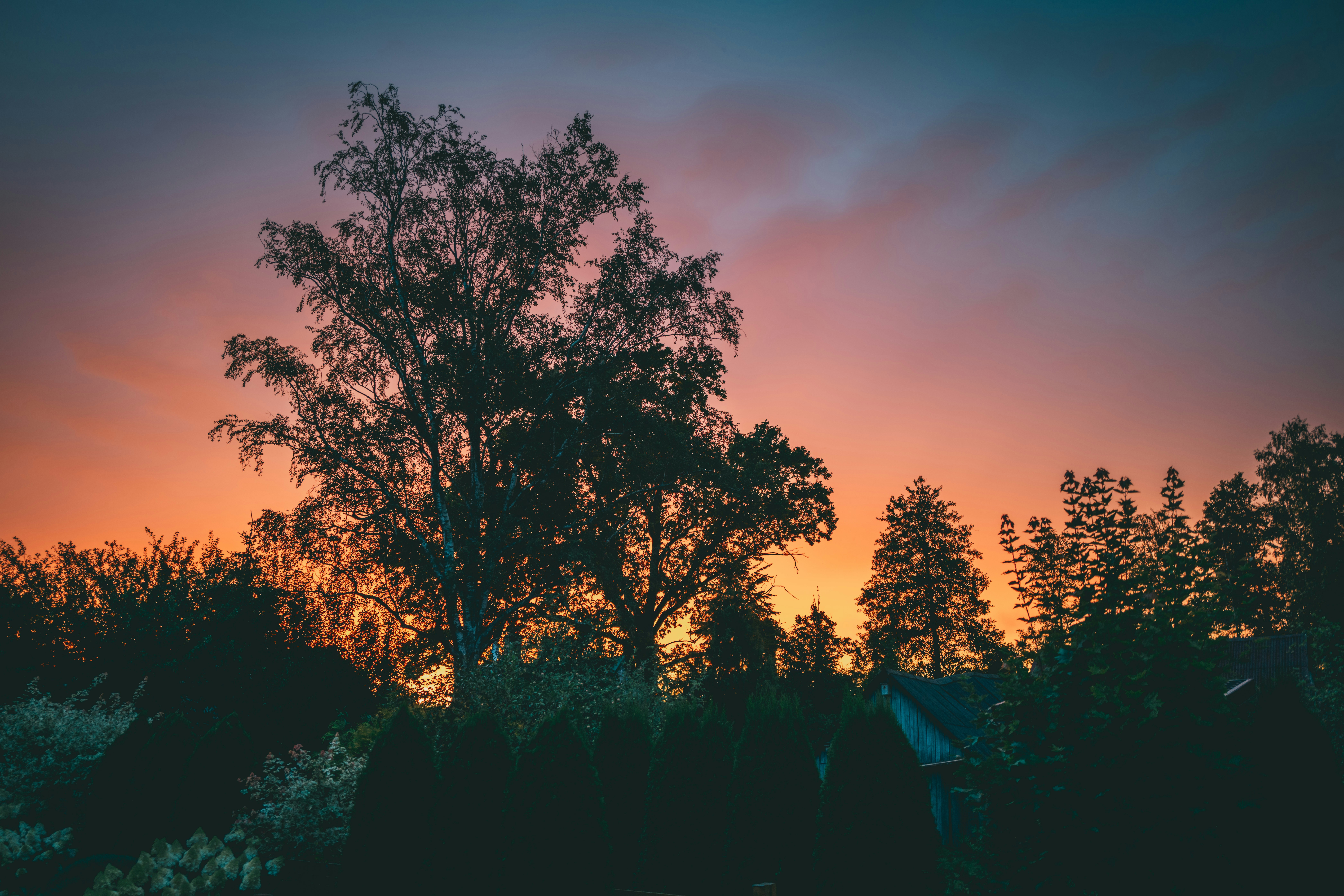 Photo by raimondklavins