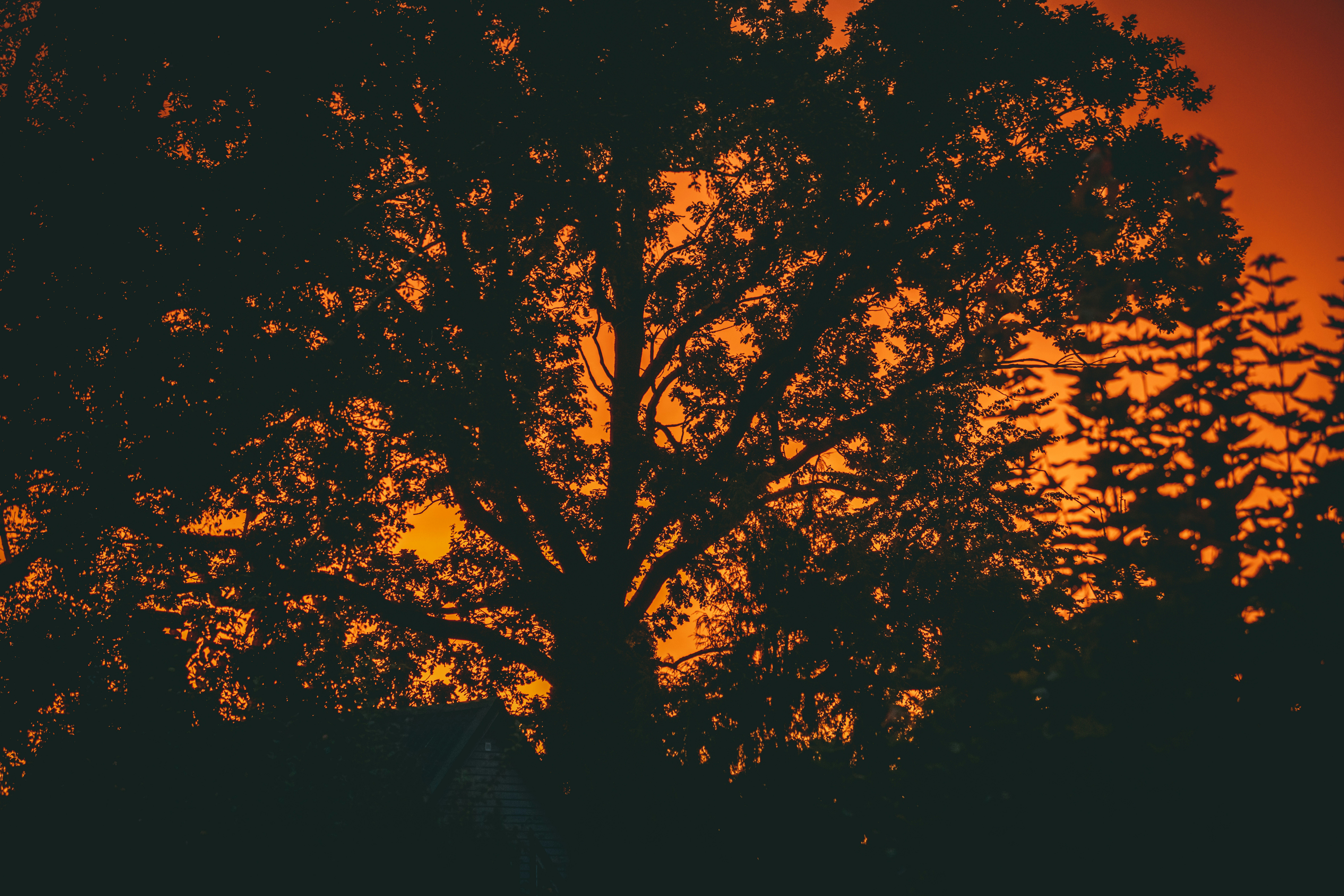 Photo by raimondklavins