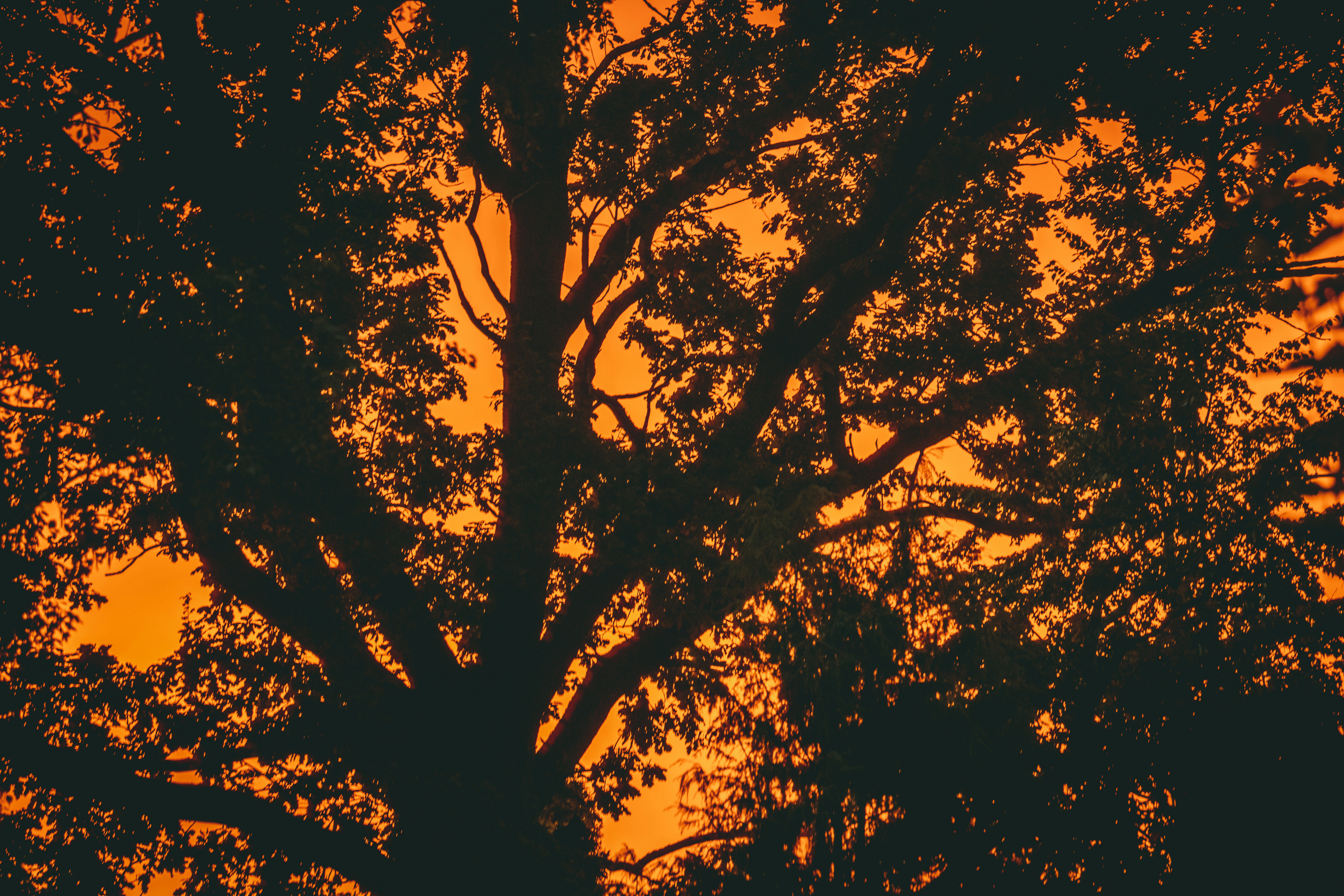 Klaipėda – Budgeting & Cost Expectations