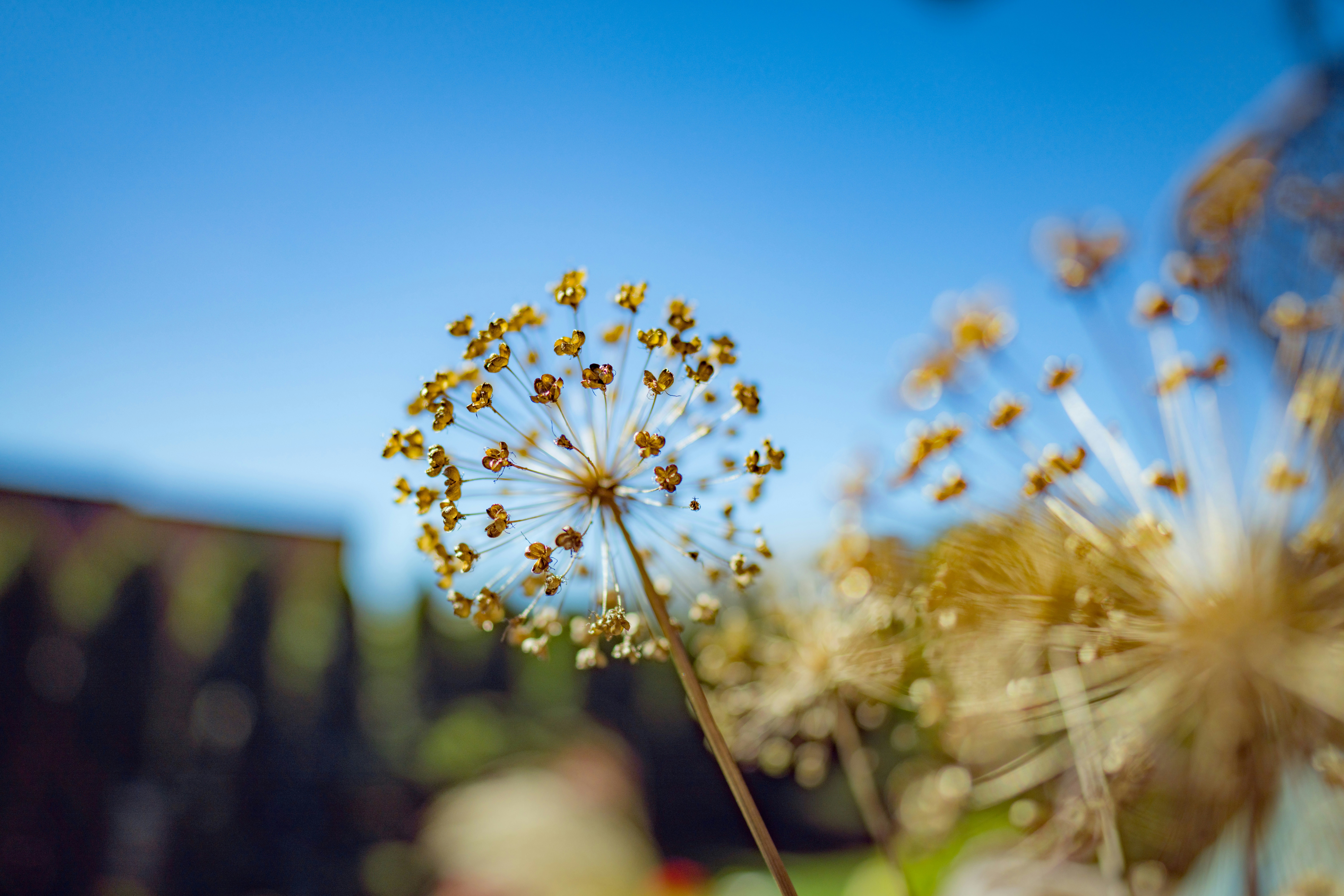 Photo by raimondklavins