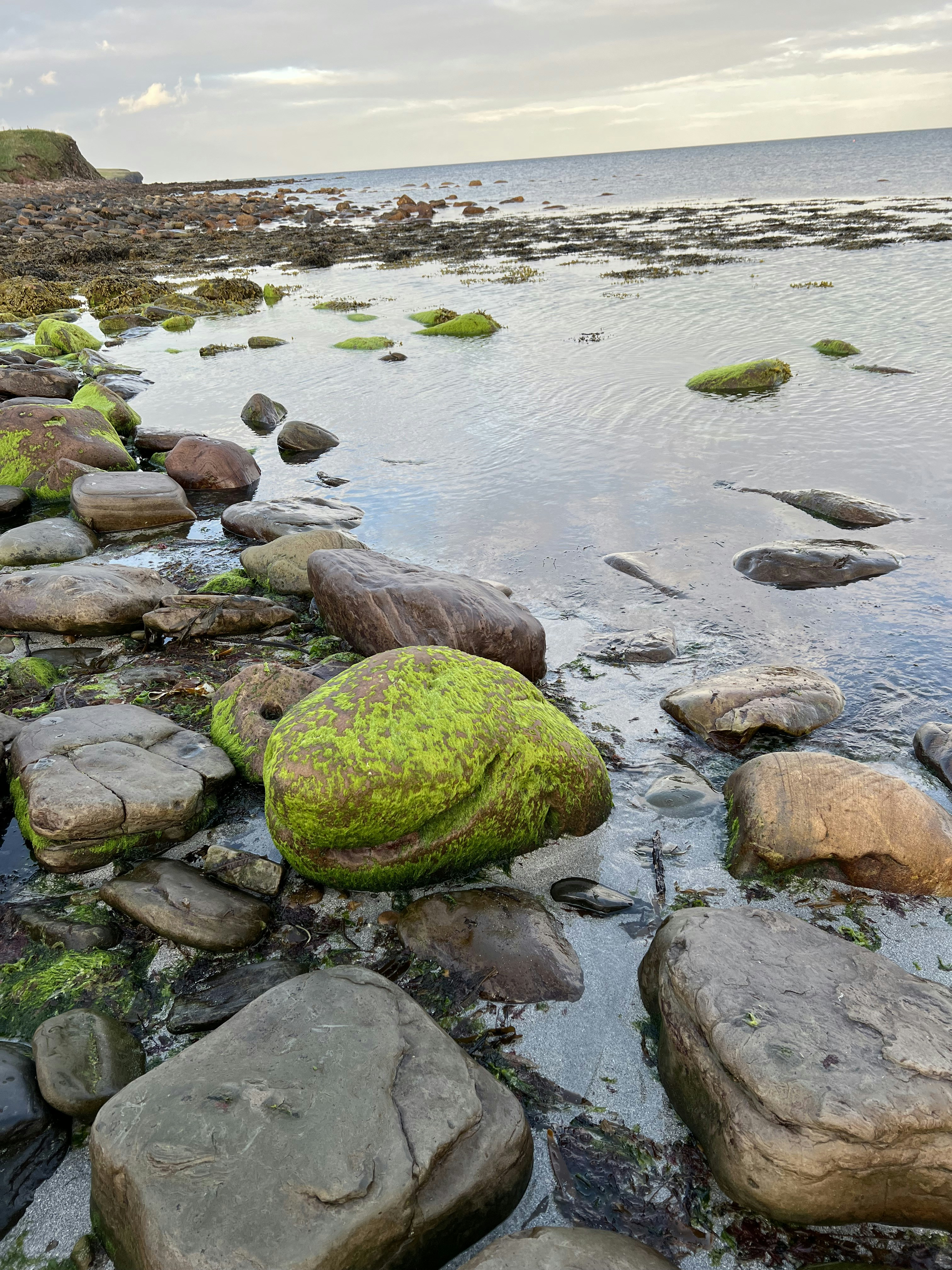 A group of rocks on a beach photo – Free Green Image on Unsplash