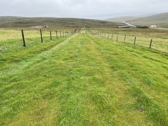 Wide-angle view of manpower fence enclosing a large area with green grass and blue sky in the background.