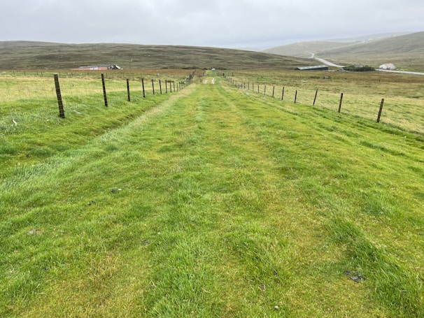 Wide-angle view of manpower fence enclosing a large area with green grass and blue sky in the background.