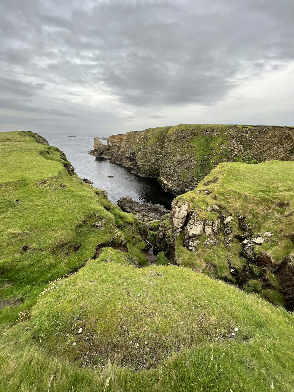 a body of water with grass and rocks on the side