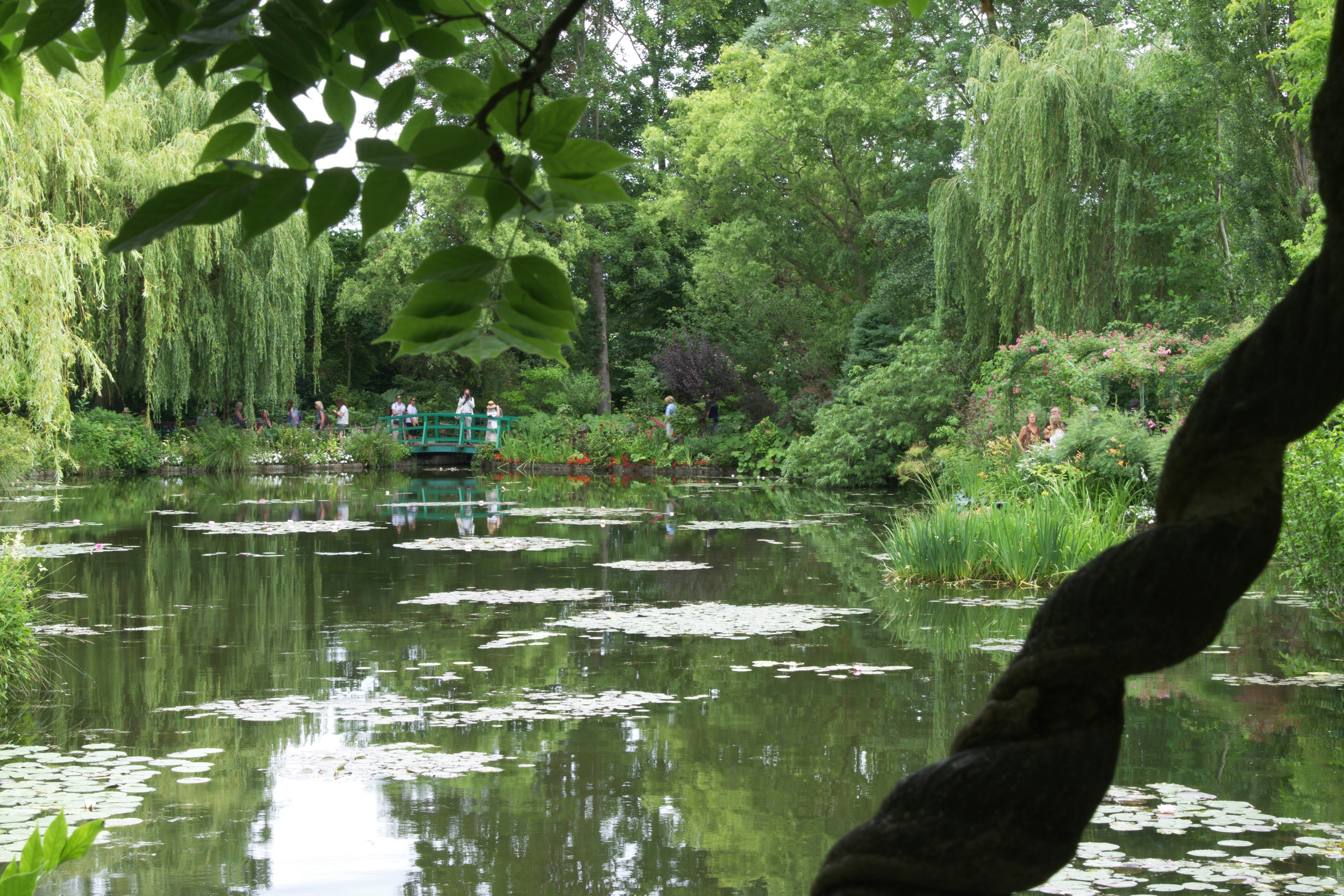 a body of water with trees around it and a boat in it, Giverny, Monet’s graden