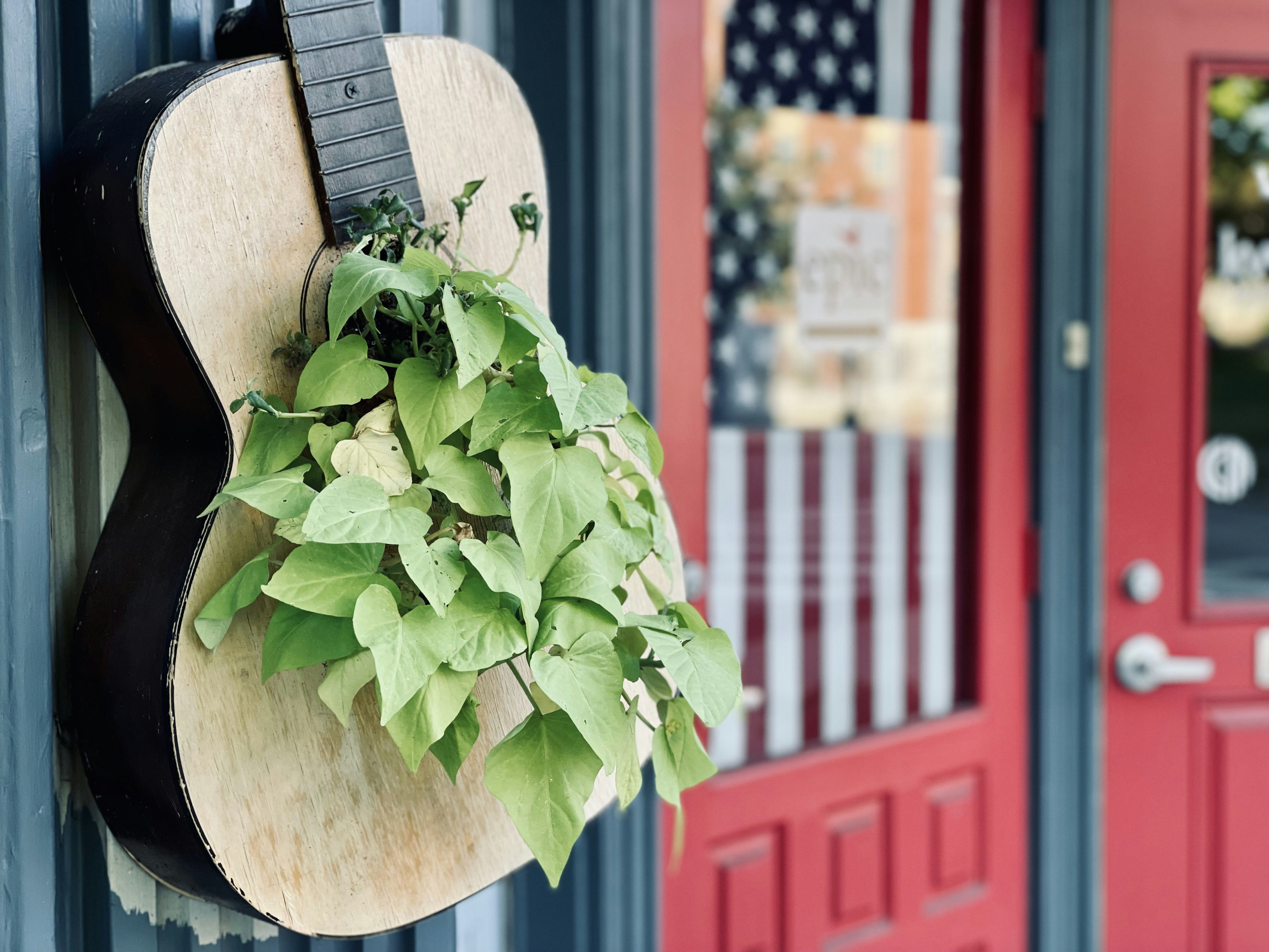 a plant growing in a metal pot