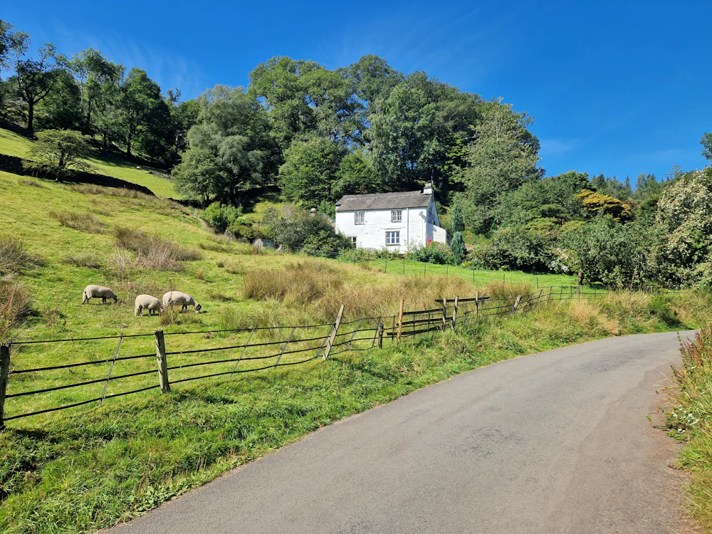 Buy or refinance without cash out