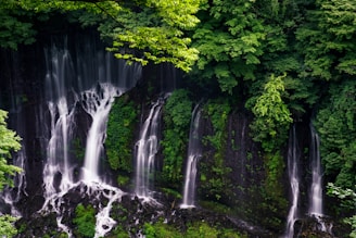 a group of waterfalls in a forest
