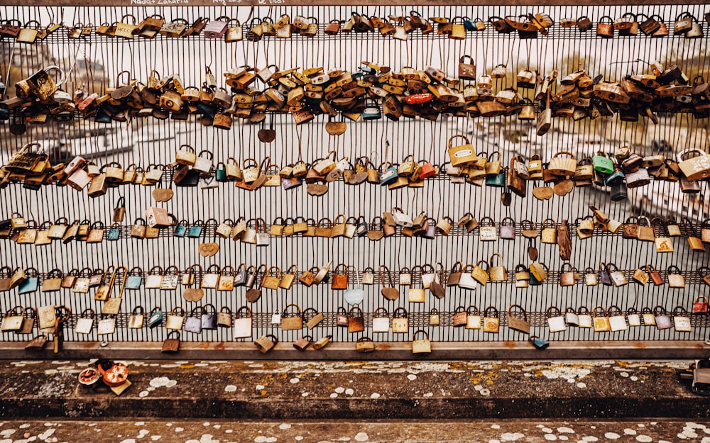 a group of birds on a fence