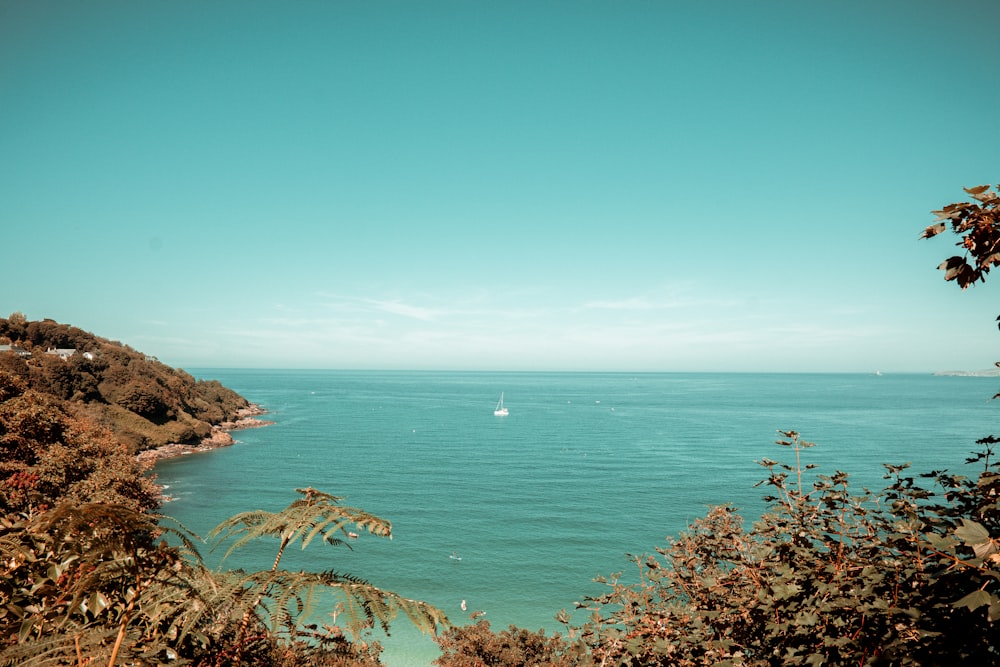 a sailboat in the ocean