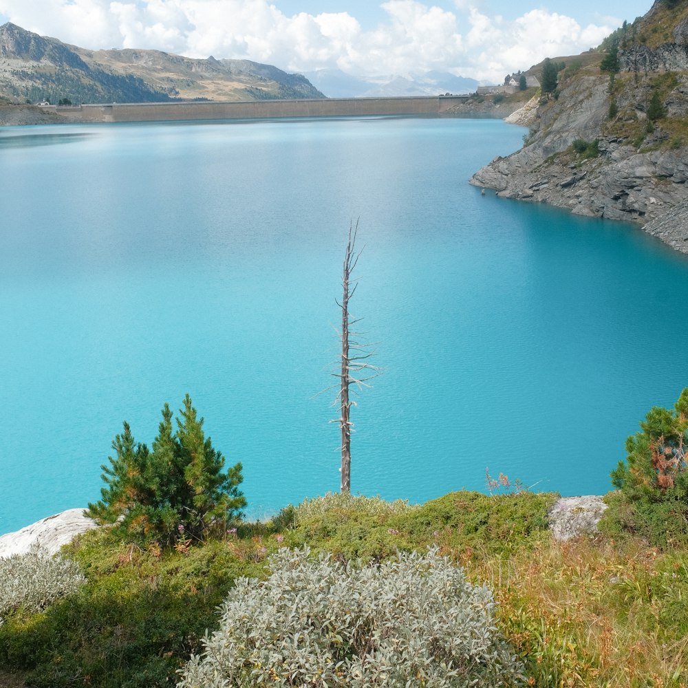 a body of water with mountains in the background